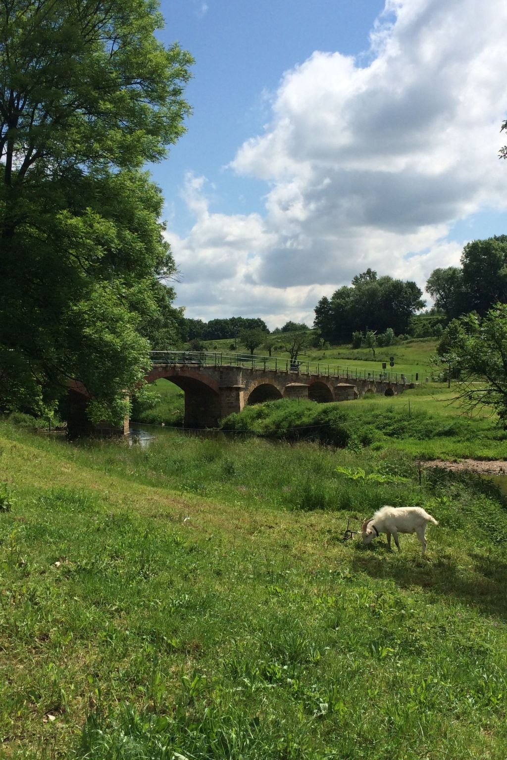 Pleissenhaus-Image-tags.info