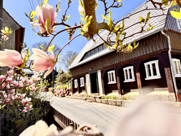 Vrijstaand vakantiehuis met bergzicht in centrum Grossschönau in Großschönau