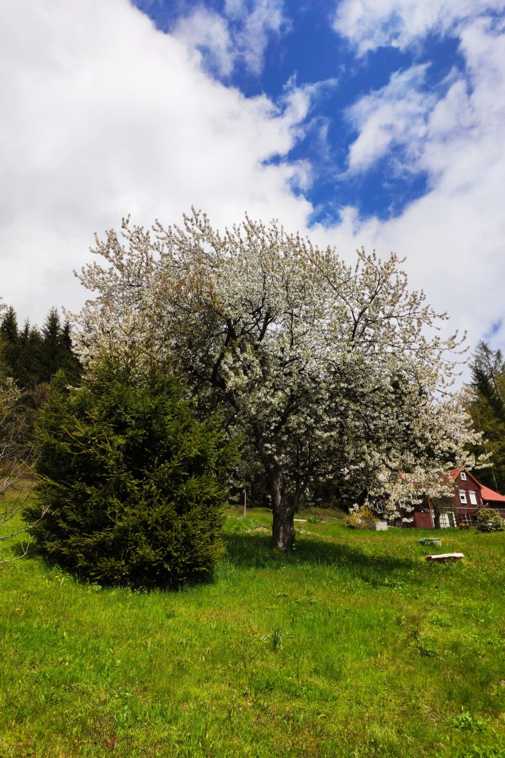 Tolles Ferienhaus in Klingenthal mit Großem Garten-Buiten