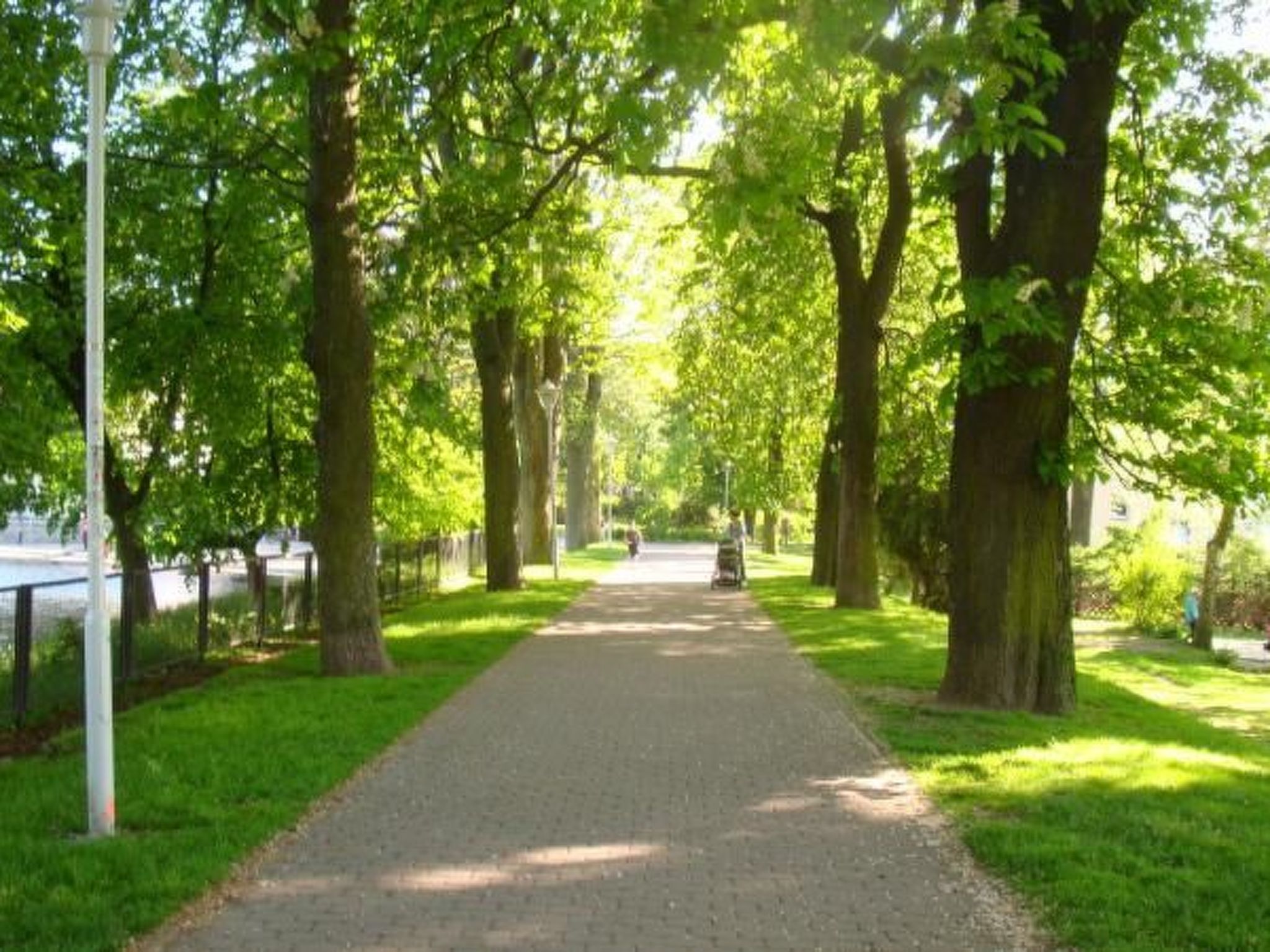 In ruhiger Lage im Erzgebierge - Draußen