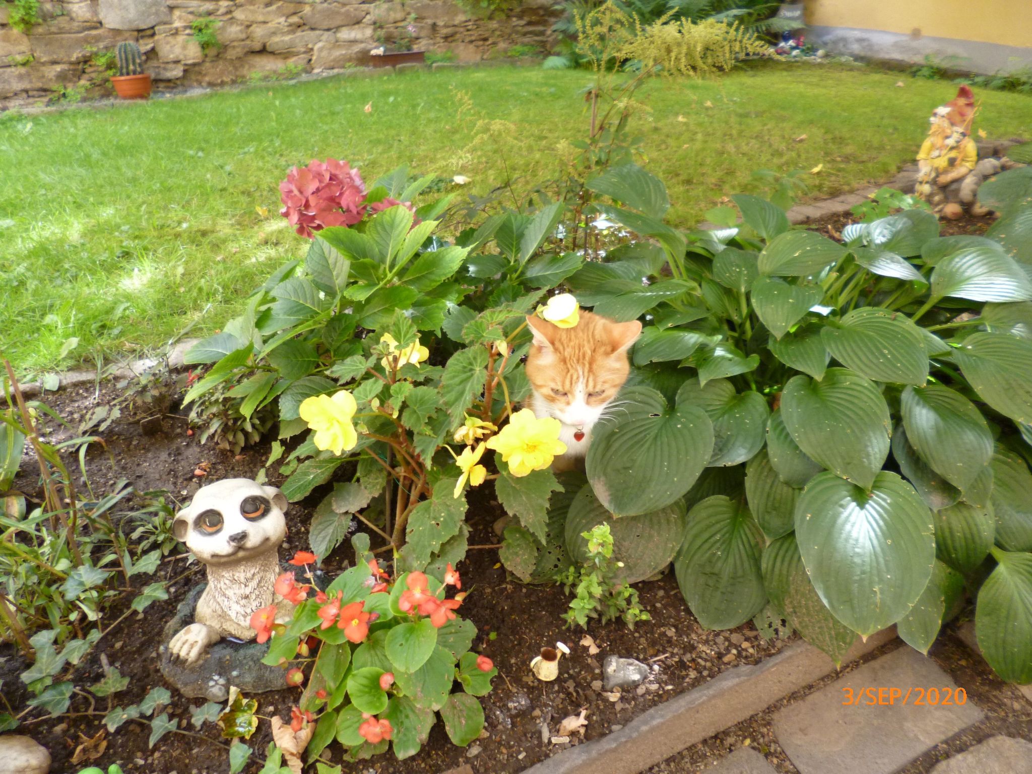 Im Vierseitenhof-Binnen