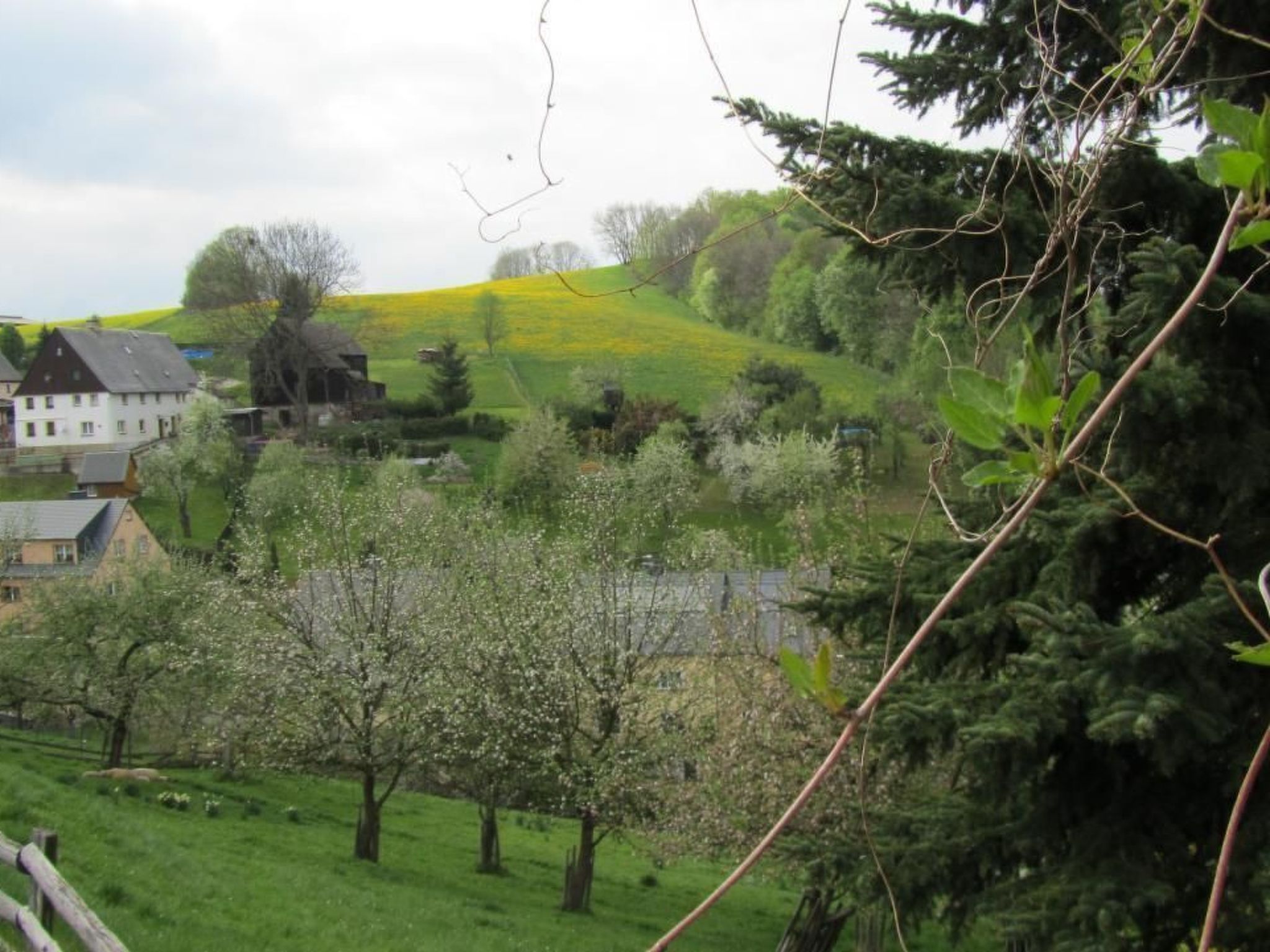 Sprunk-Image-tags.info