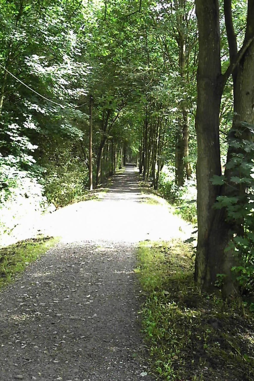 Sprunk-Image-tags.info