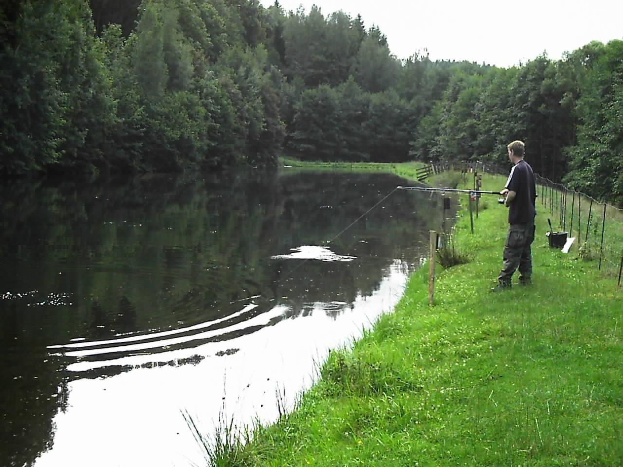 Sprunk-Image-tags.info