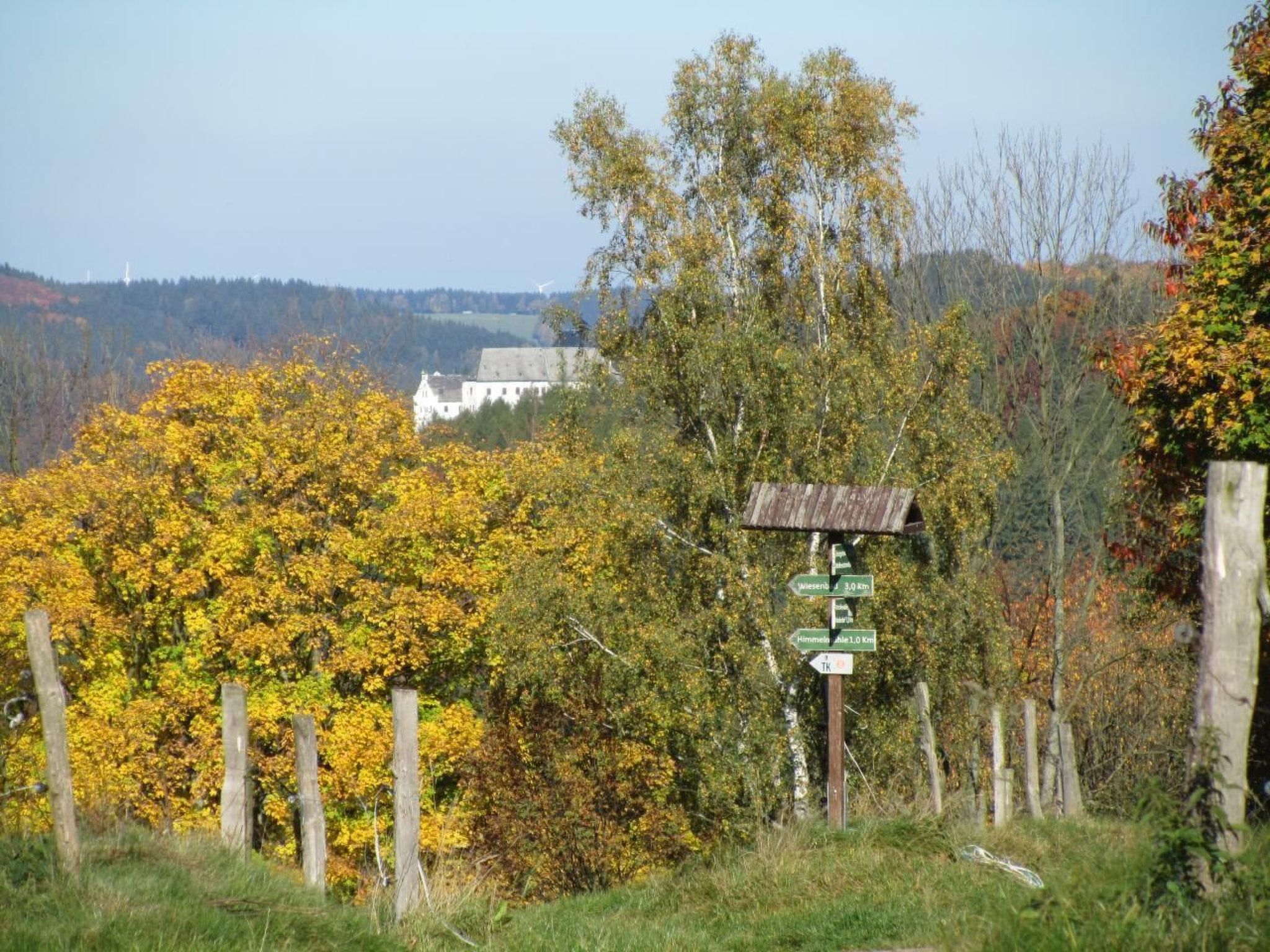 Sprunk-Image-tags.info