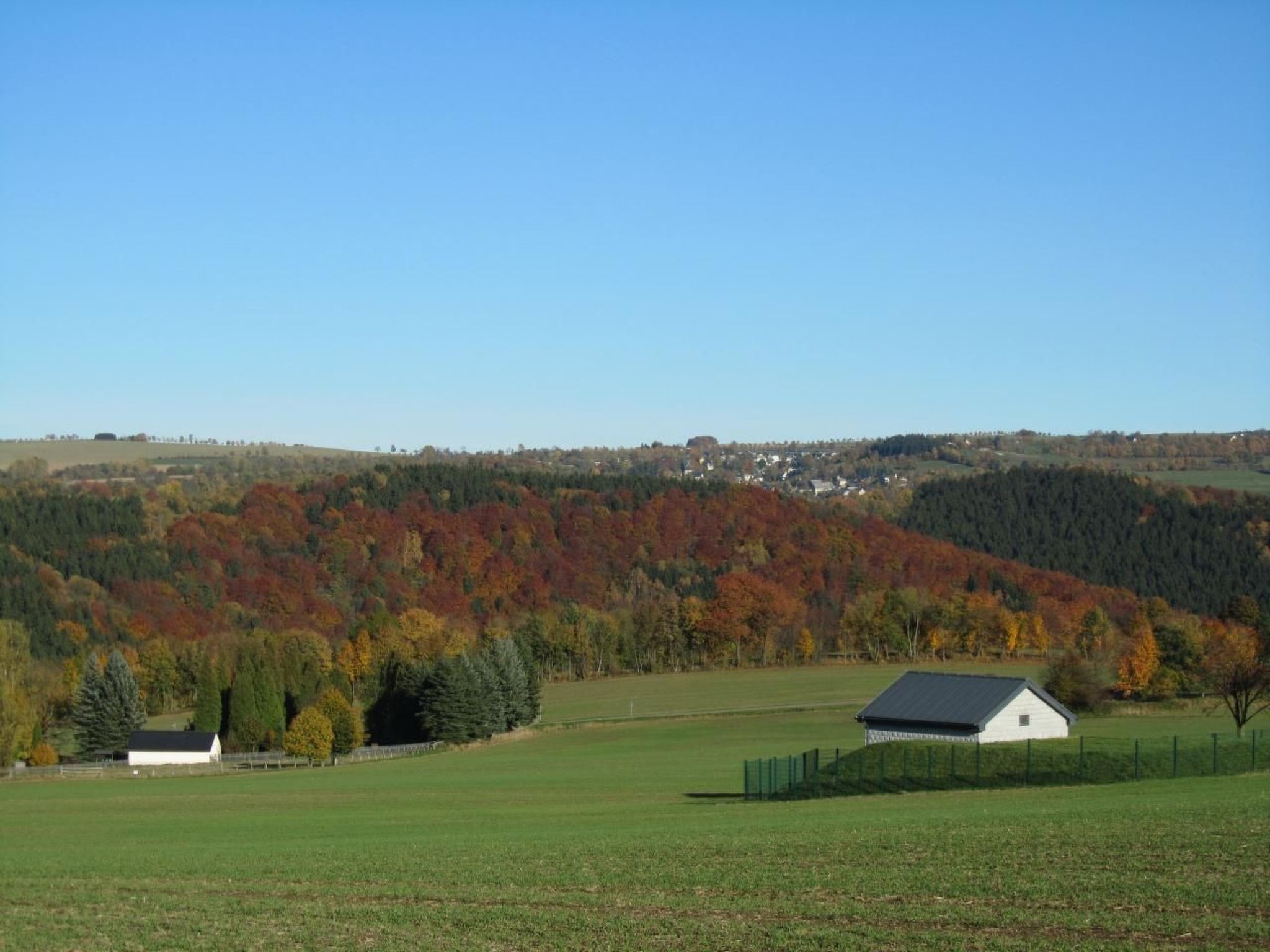 Sprunk-Image-tags.info