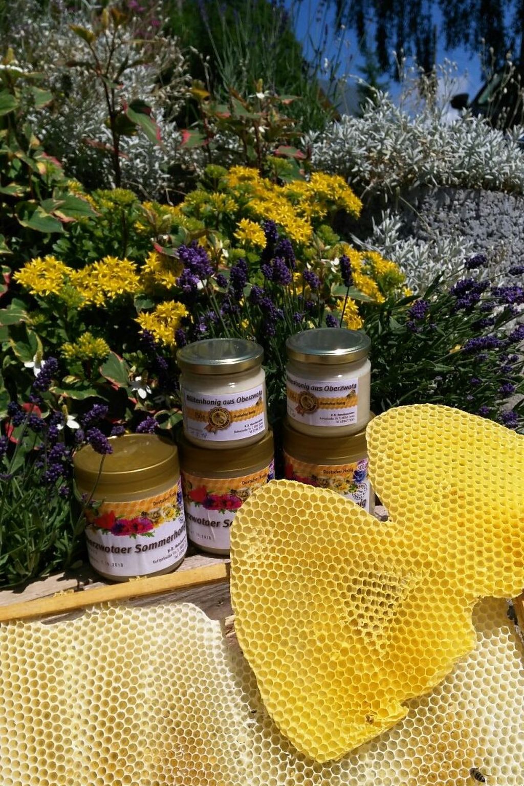 Auf der Sonnenseite-Binnen