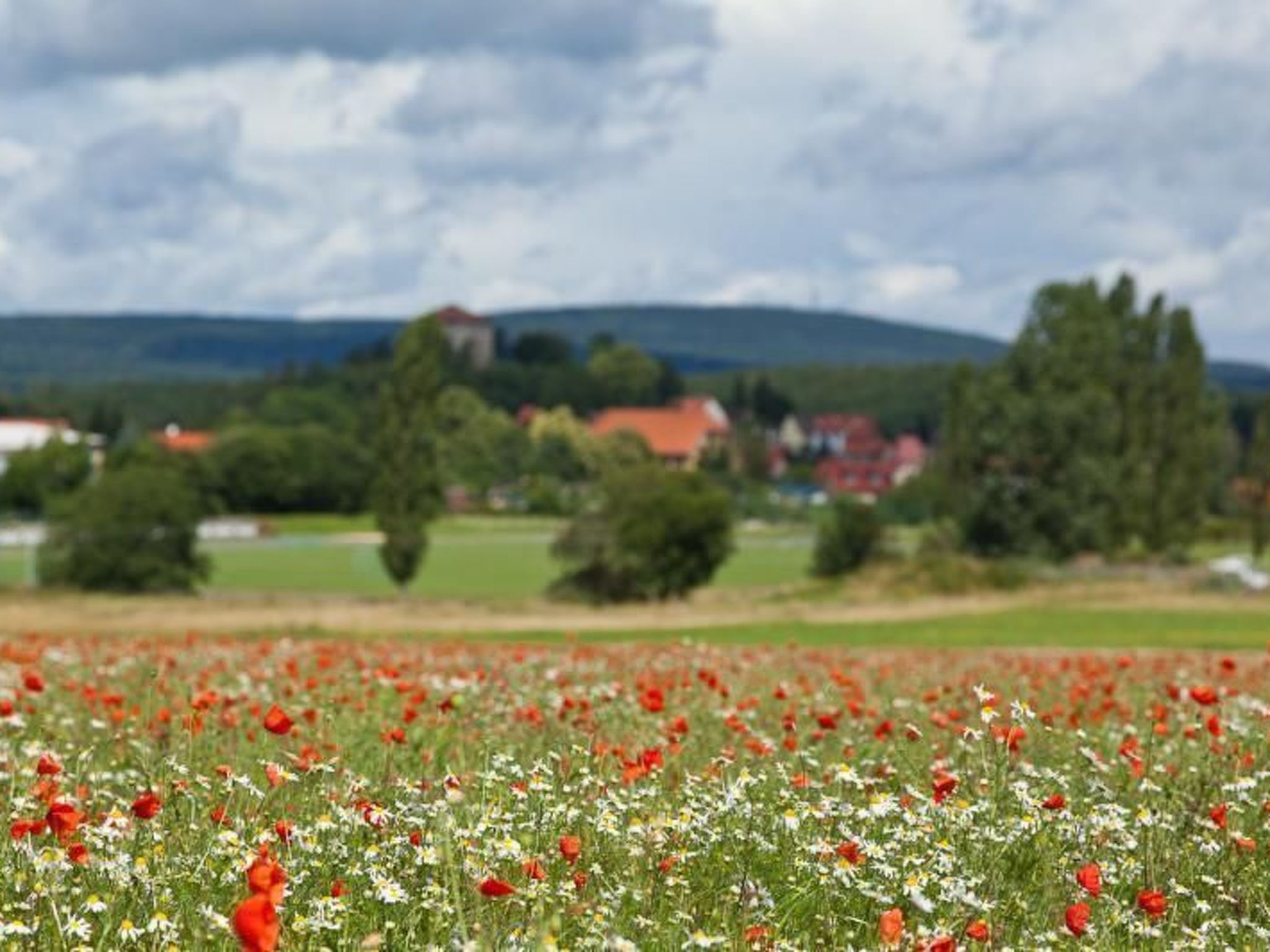 Mit Terrasse-Image-tags.info