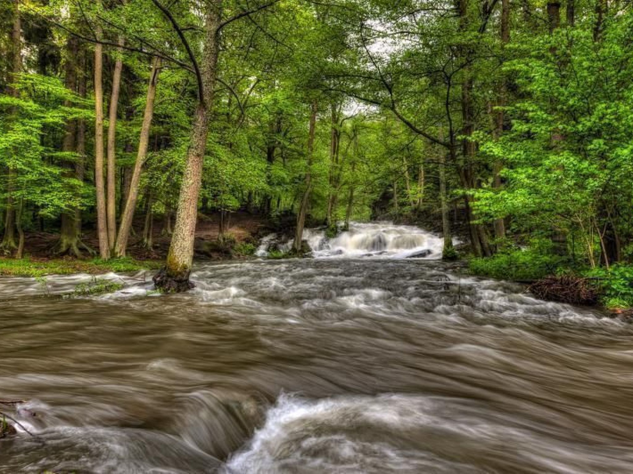 Mit Grill-Image-tags.info