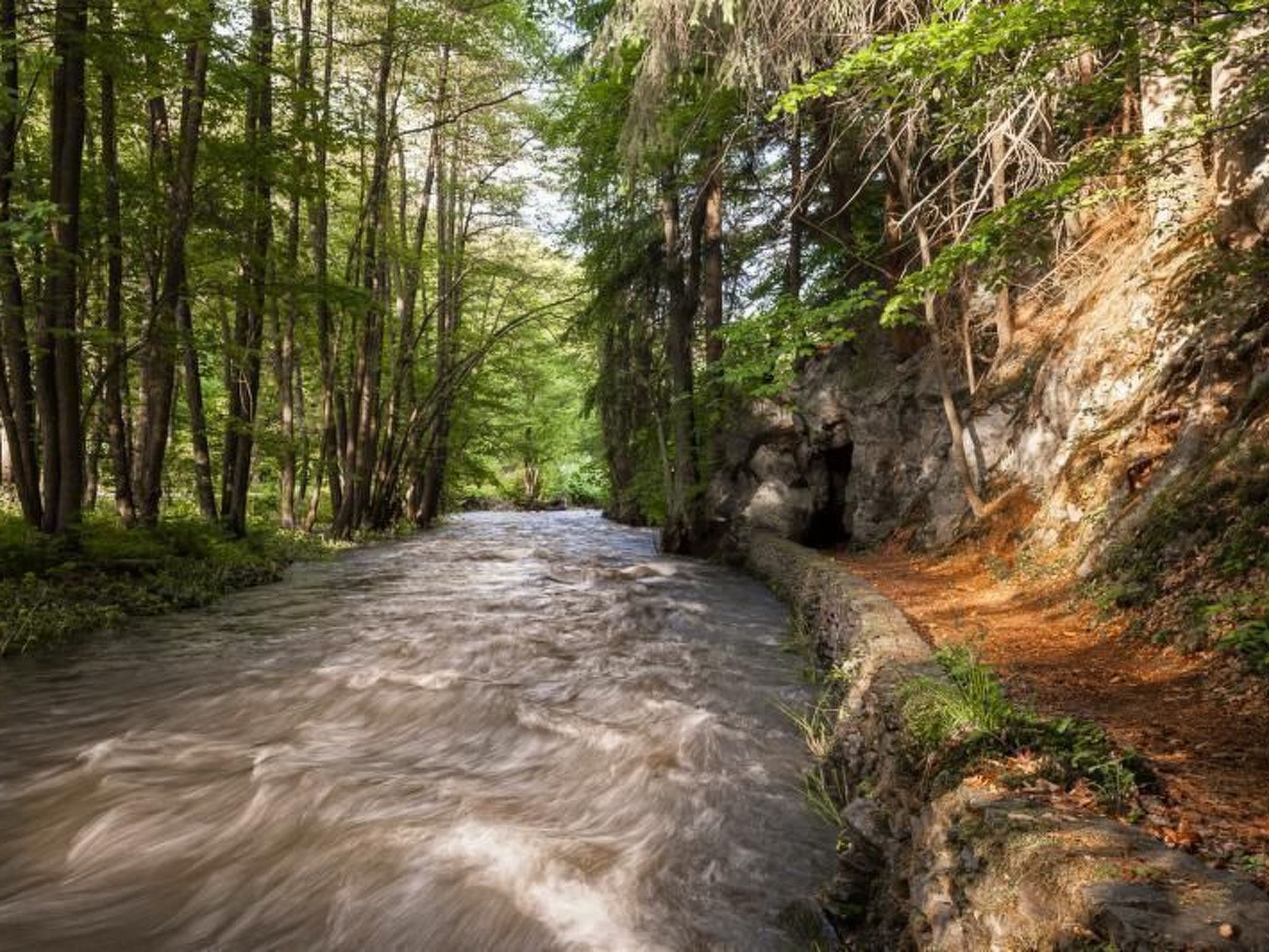 Mit Grill-Image-tags.info