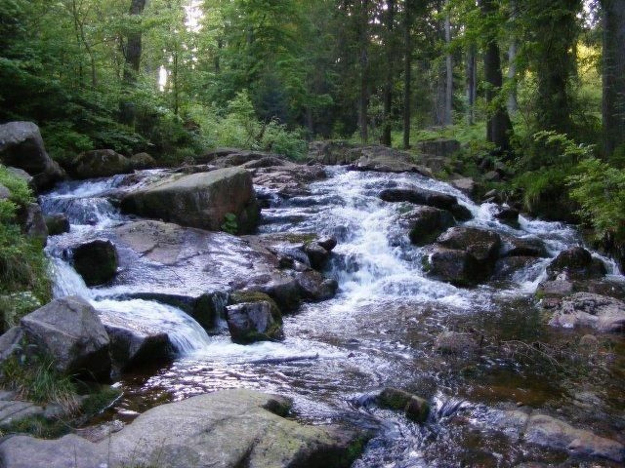 Gemütliche Ferienwohnung für die ganze Familie-Binnen