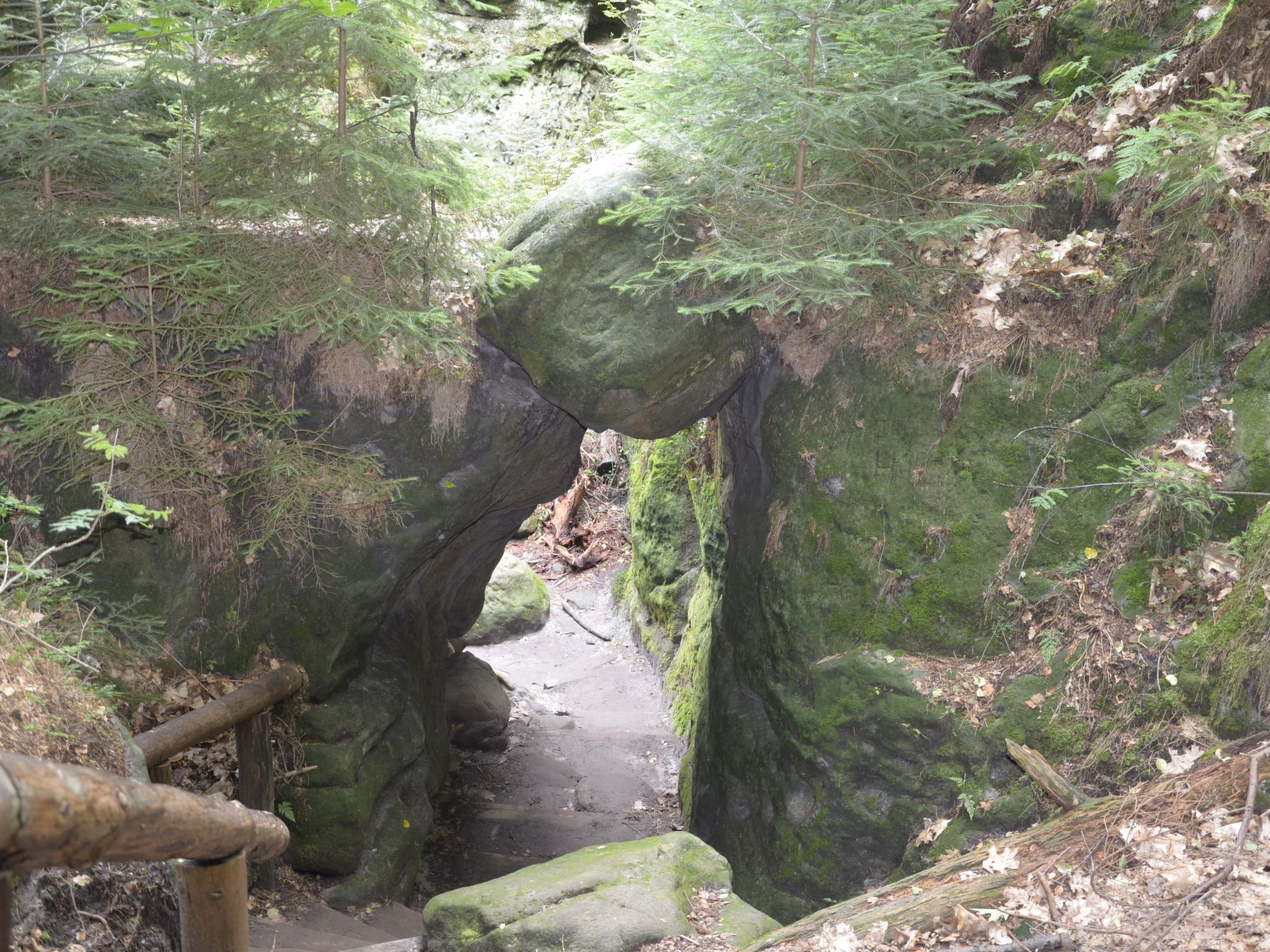 Panoramablick in Königstein-Drinnen