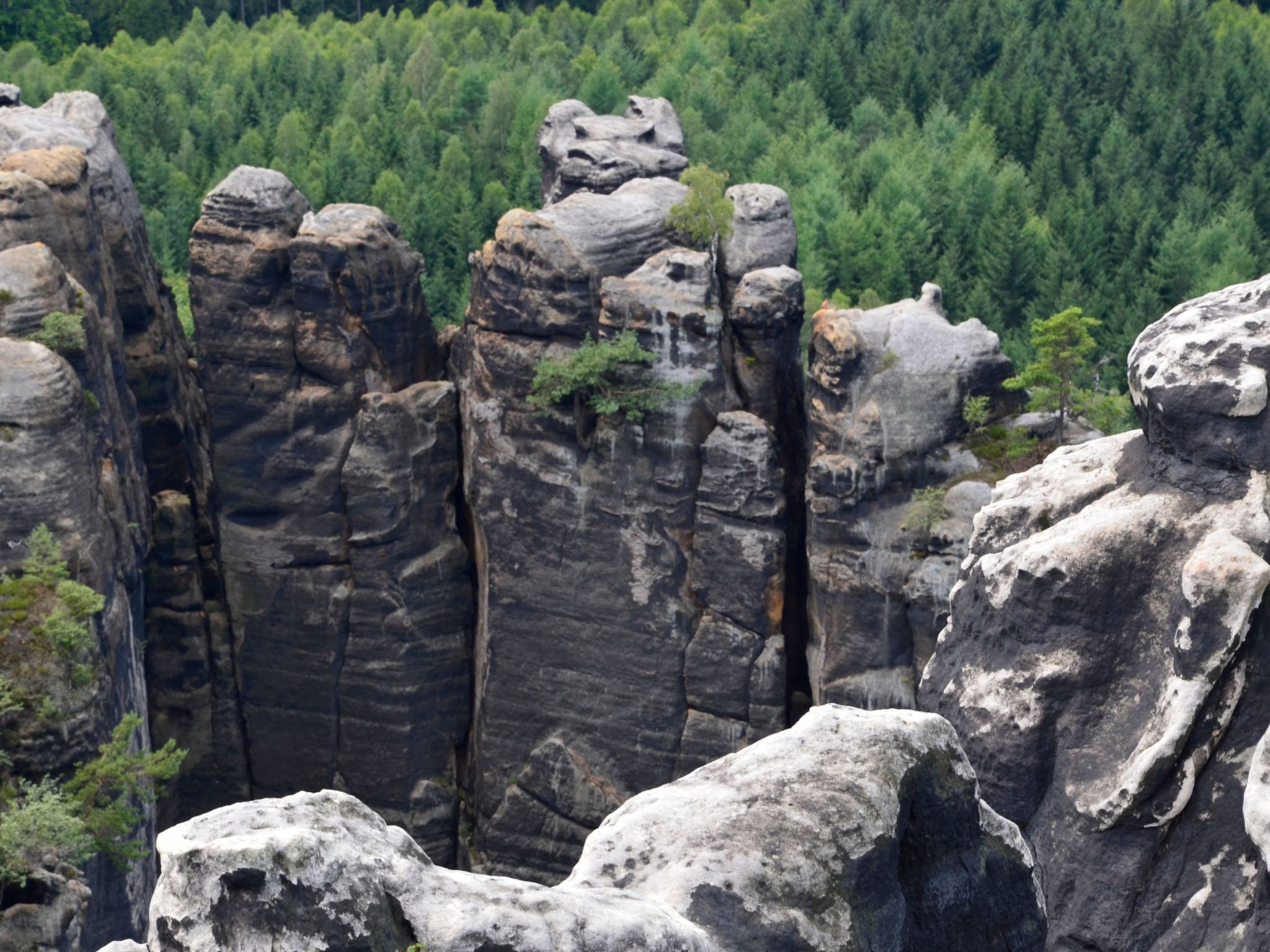 Panoramablick in Königstein-Drinnen