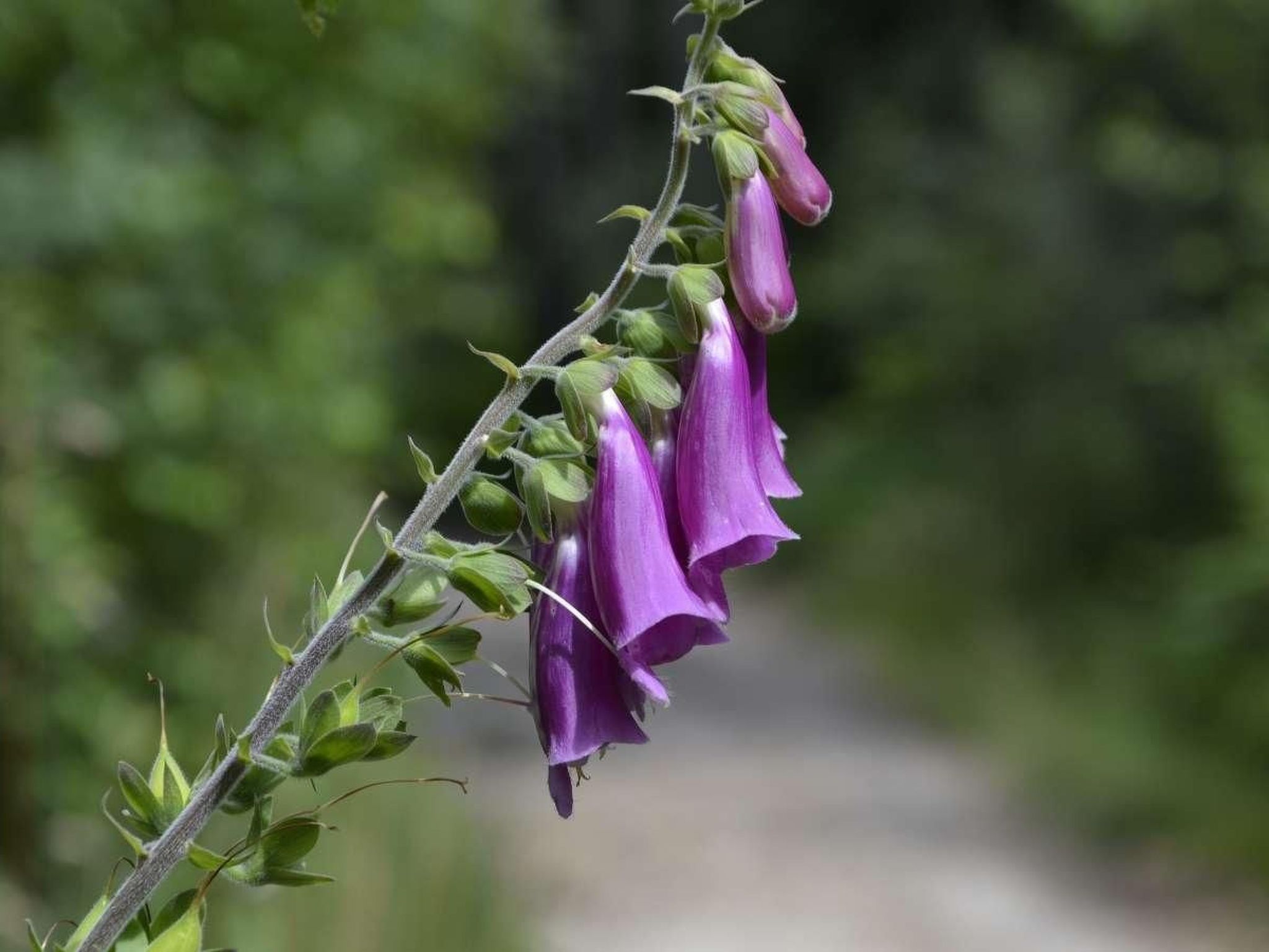 Haus am Stein Haus 2