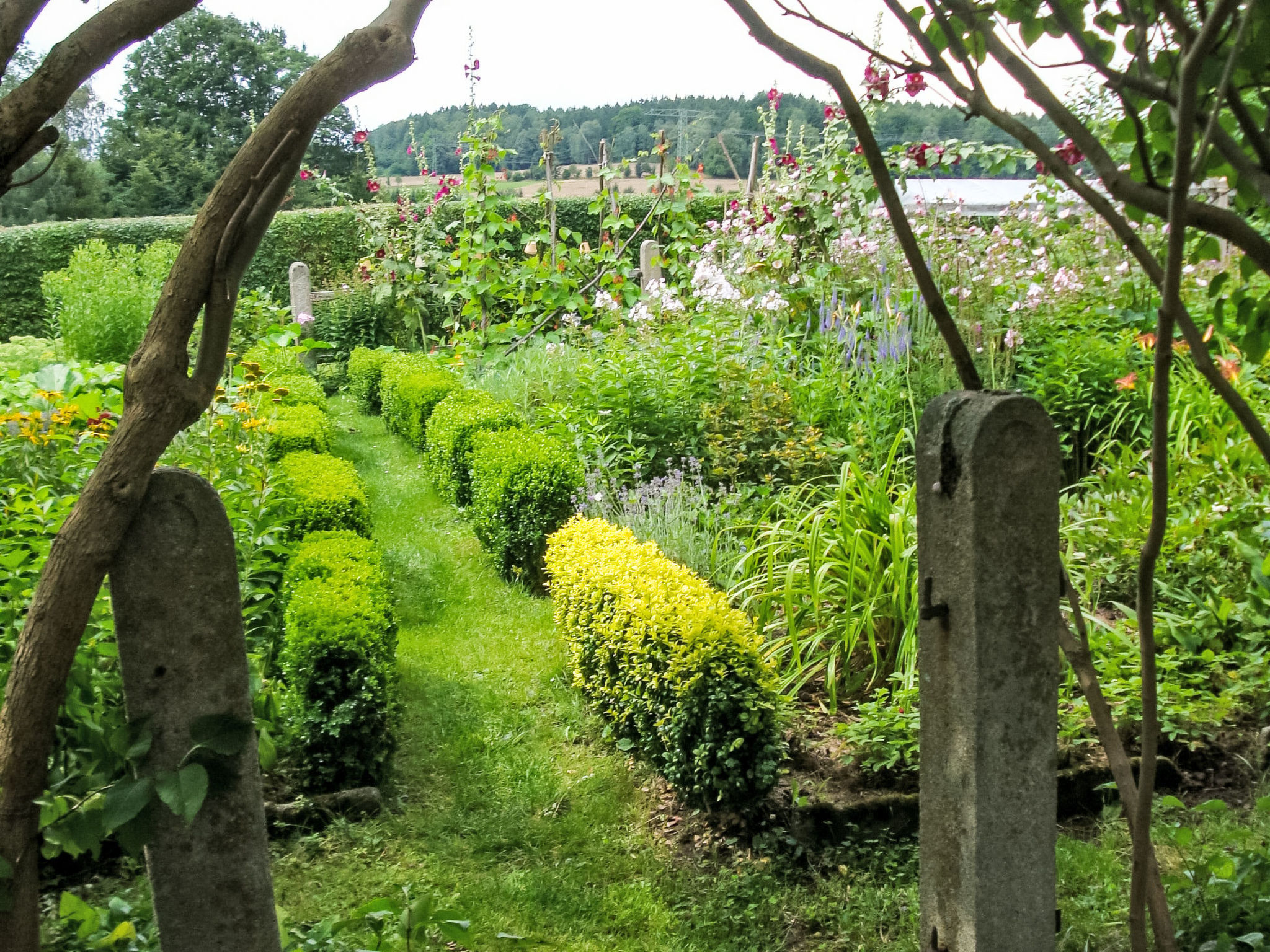 Landlust, Stadtnah -  Fewo im ehemaligem Bauernh - Outside