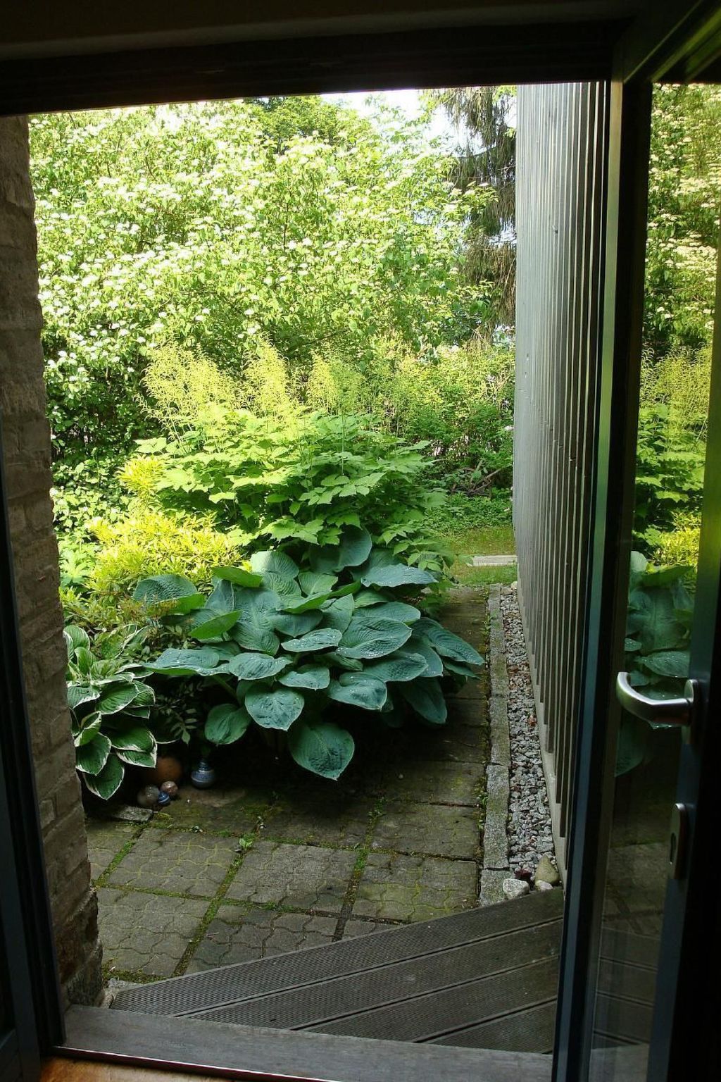 Landlust, Stadtnah -  Fewo im ehemaligem Bauernhaus mit Sauna, Kaminofen und gr-Drinnen