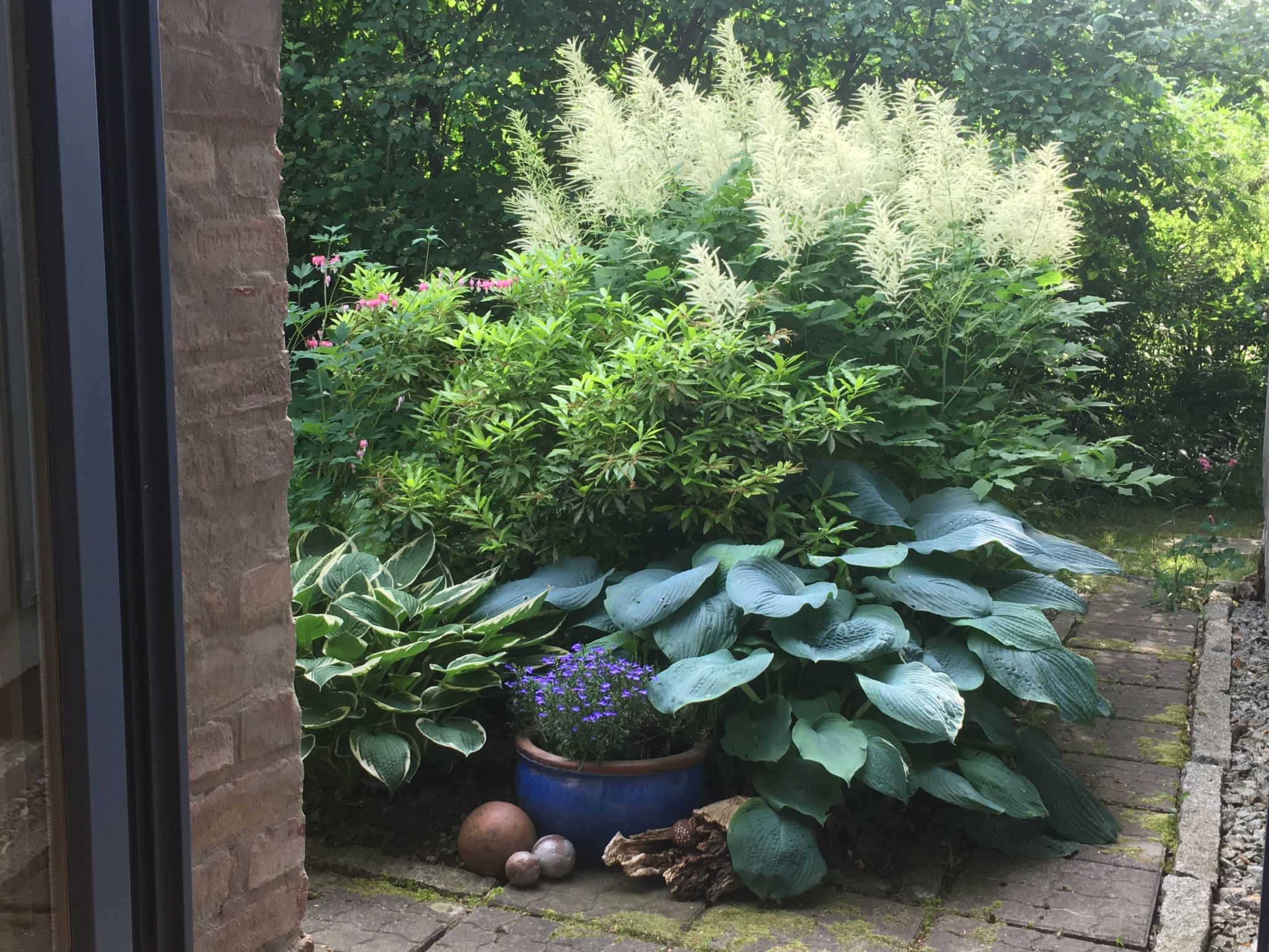 Landlust, Stadtnah -  Fewo im ehemaligem Bauernhaus mit Sauna, Kaminofen und gr-Drinnen