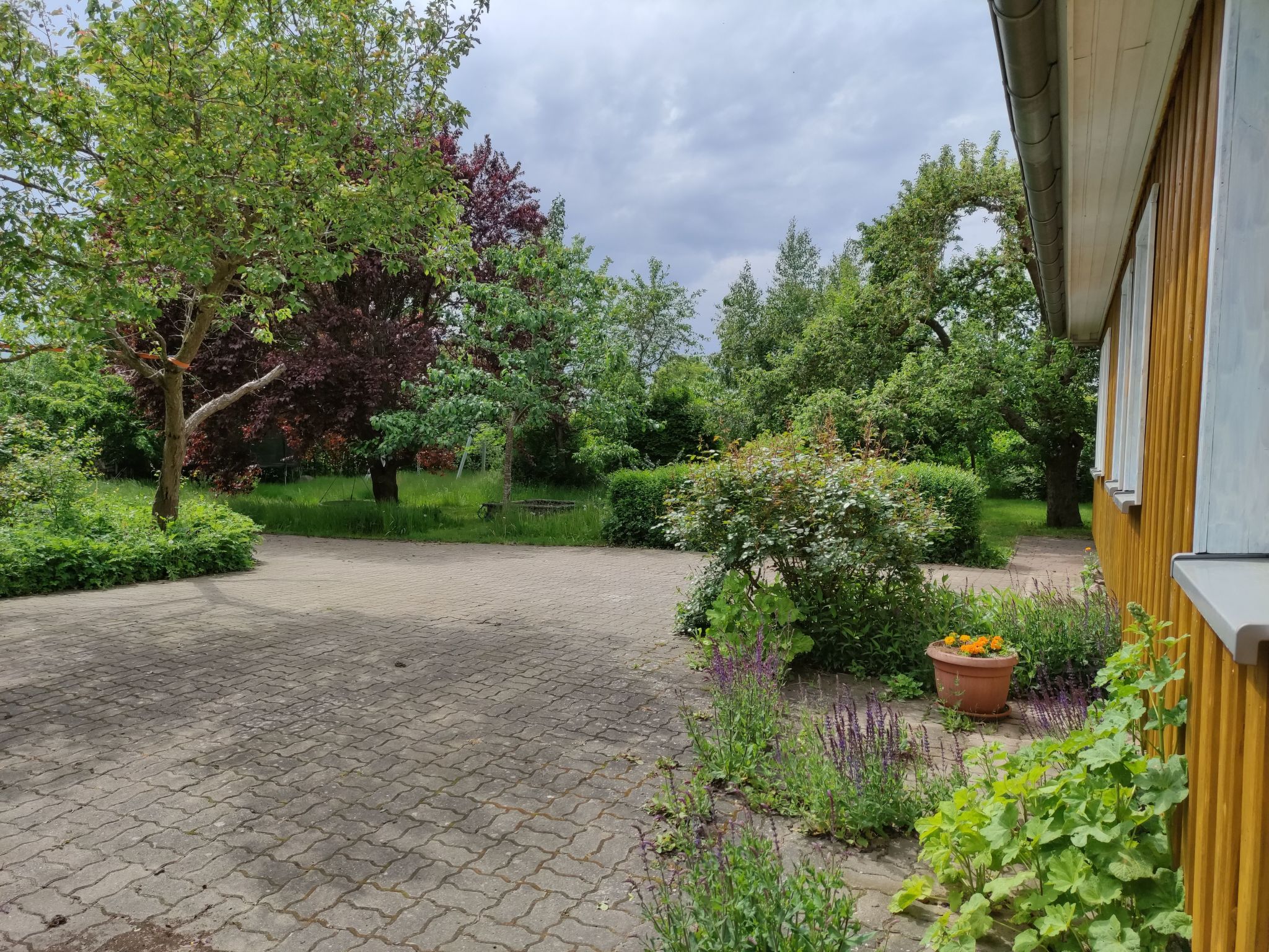 Janet Ratschkowski-Binnen