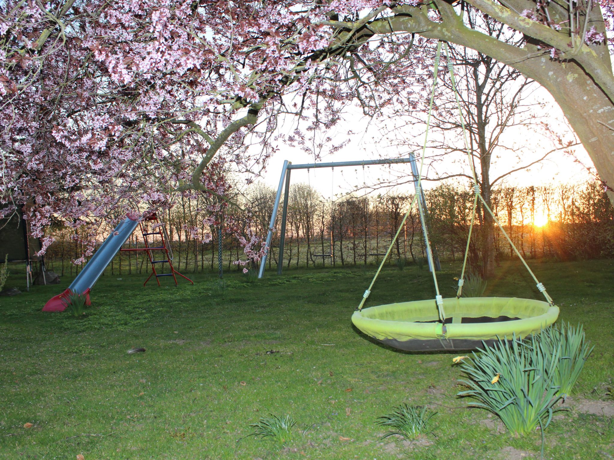 Janet Ratschkowski-Binnen