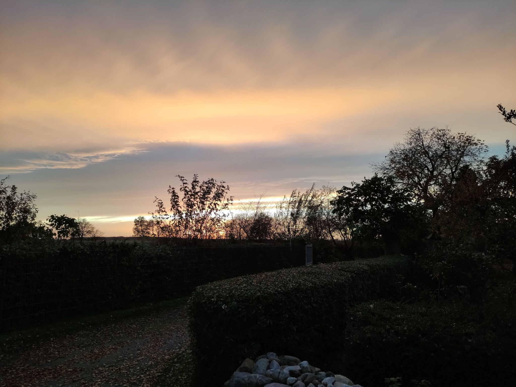 Janet Ratschkowski-Binnen