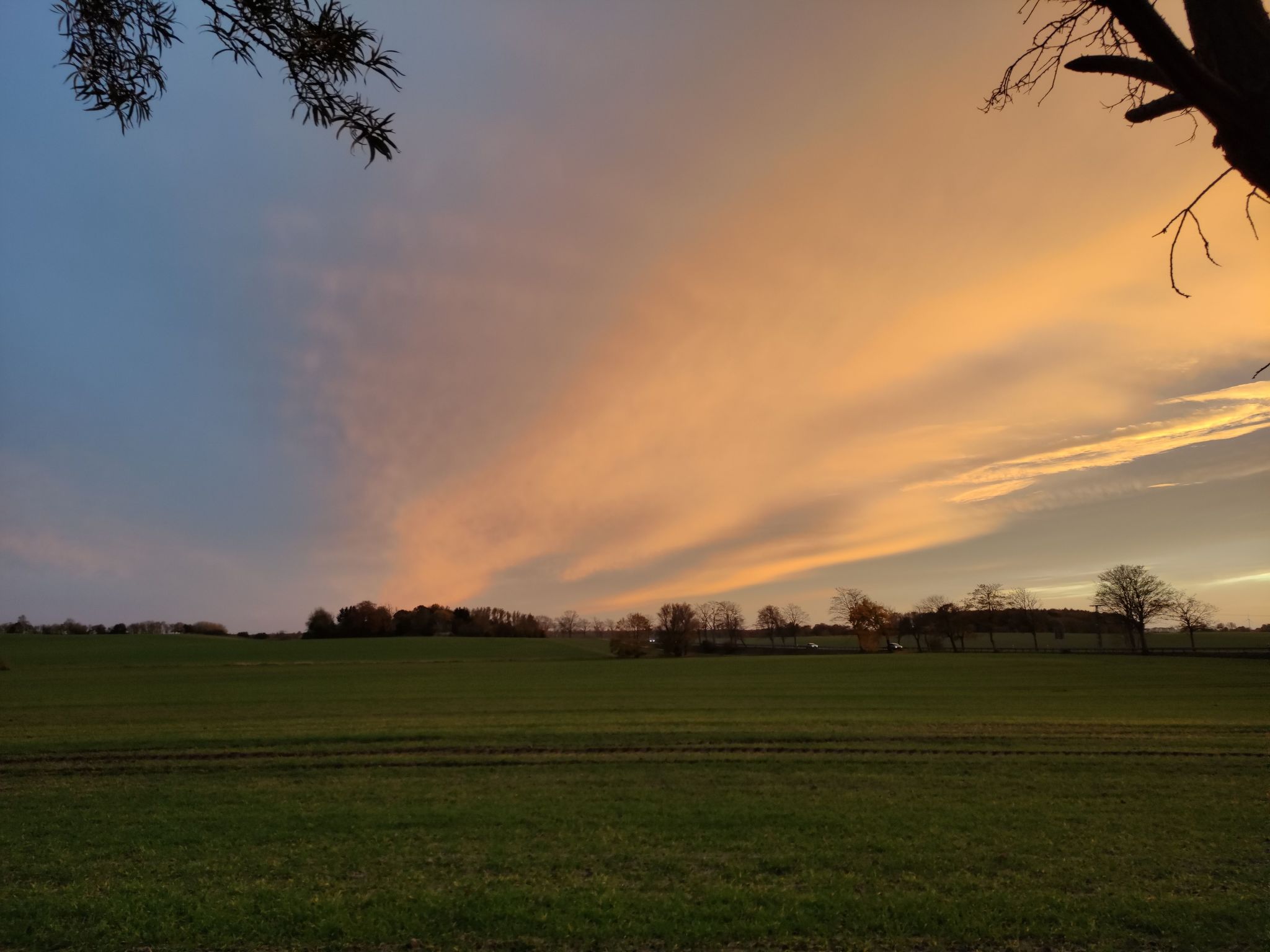 Janet Ratschkowski-Binnen