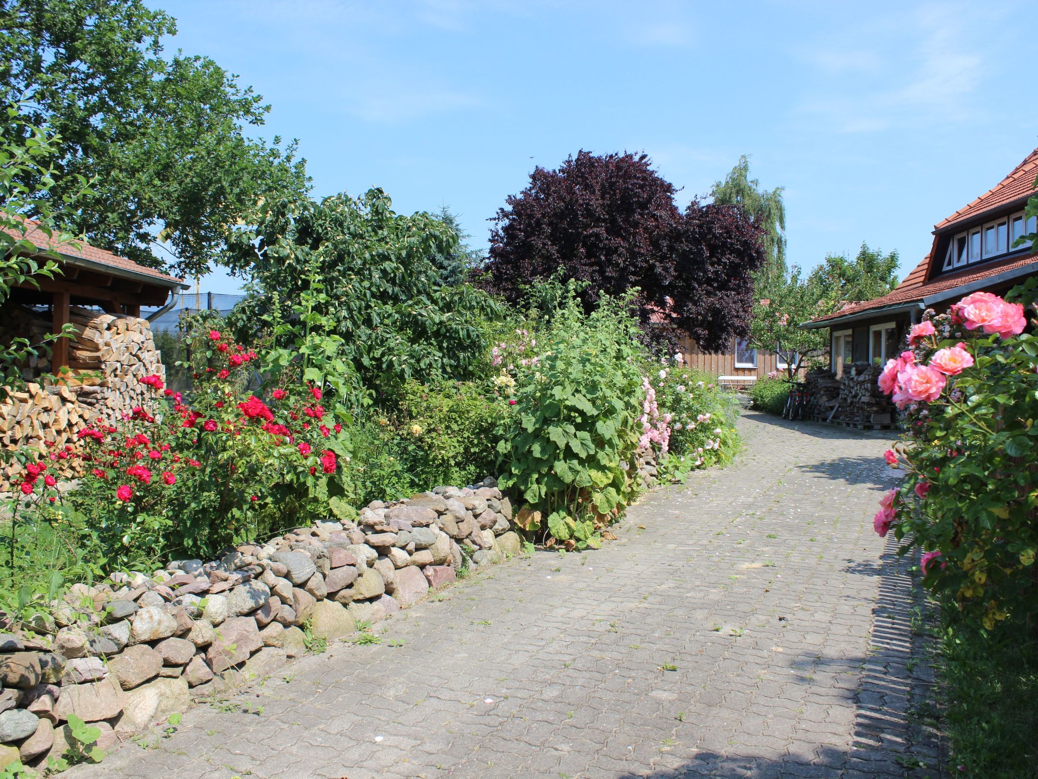Janet Ratschkowski-Binnen