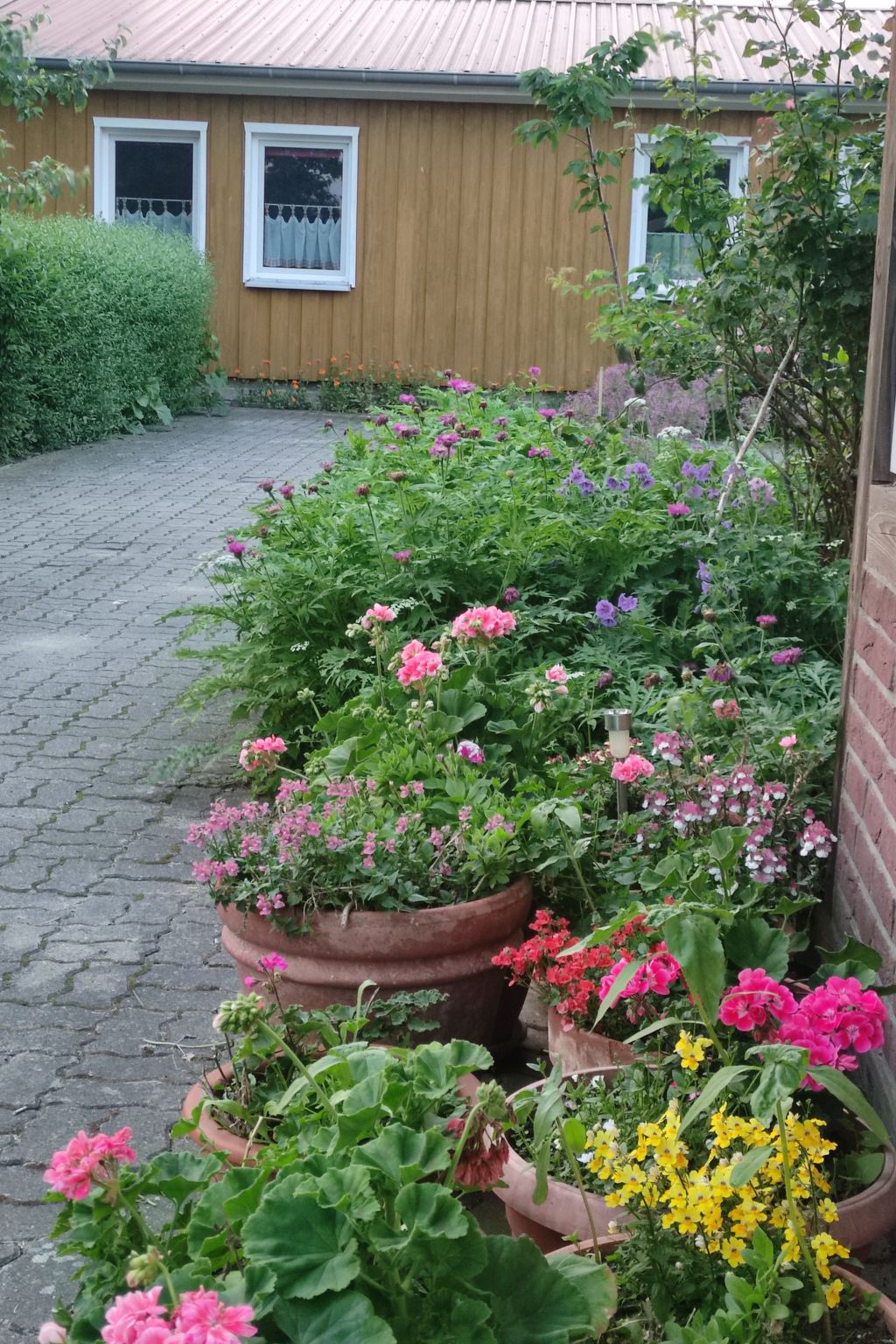 Janet Ratschkowski-Binnen