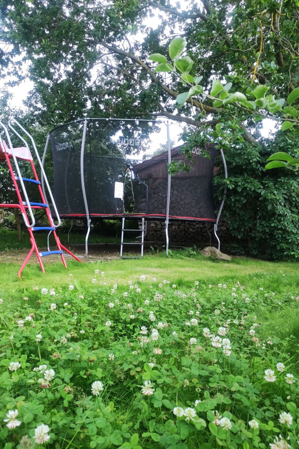 Janet Ratschkowski-Binnen