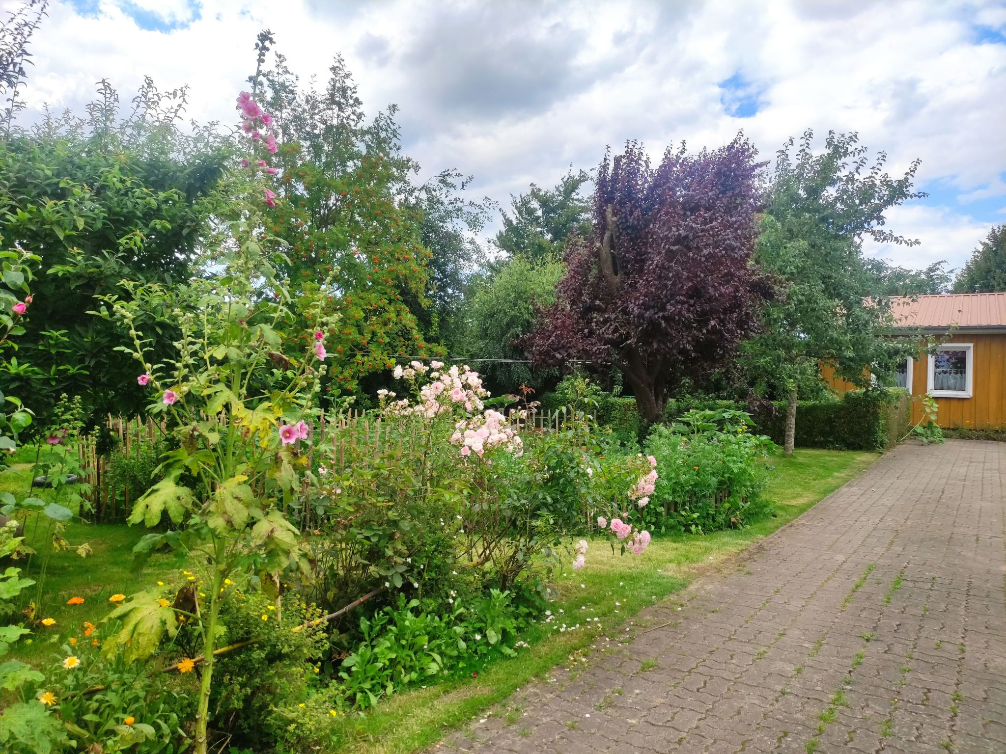 Janet Ratschkowski-Binnen