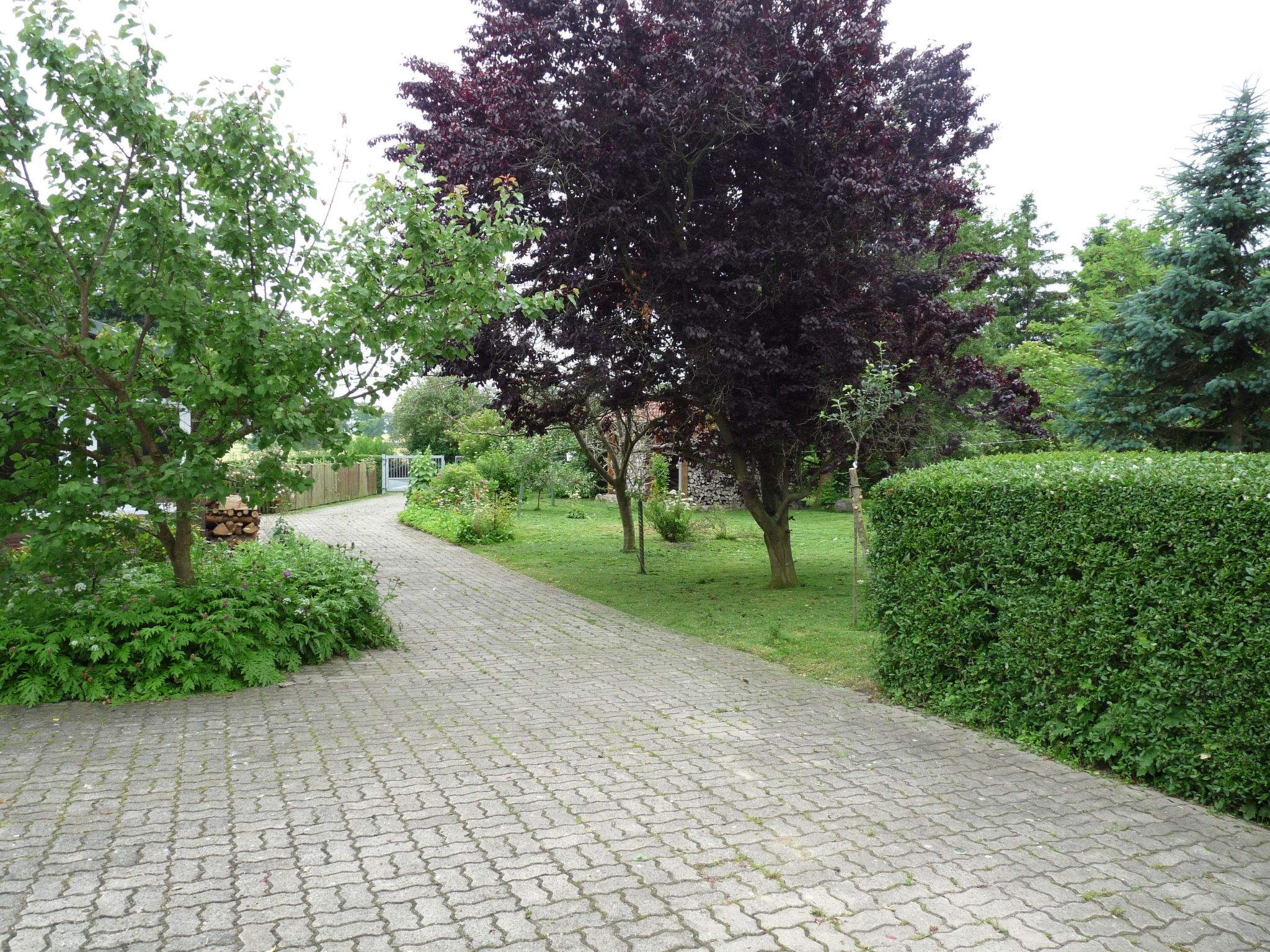 Janet Ratschkowski-Binnen