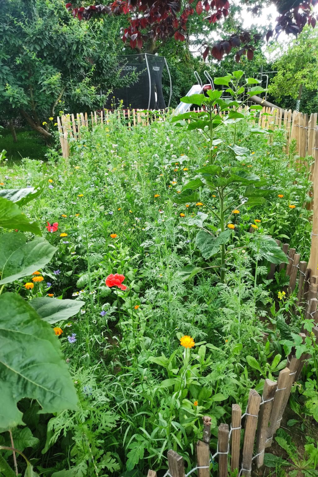 Janet Ratschkowski-Binnen
