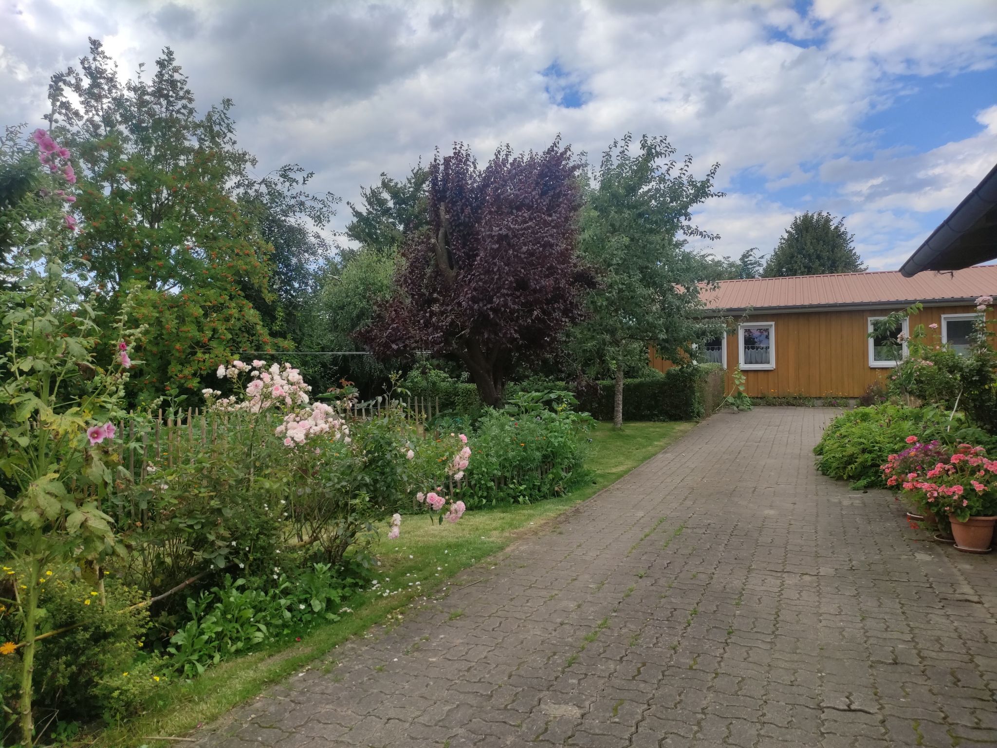 Janet Ratschkowski-Binnen