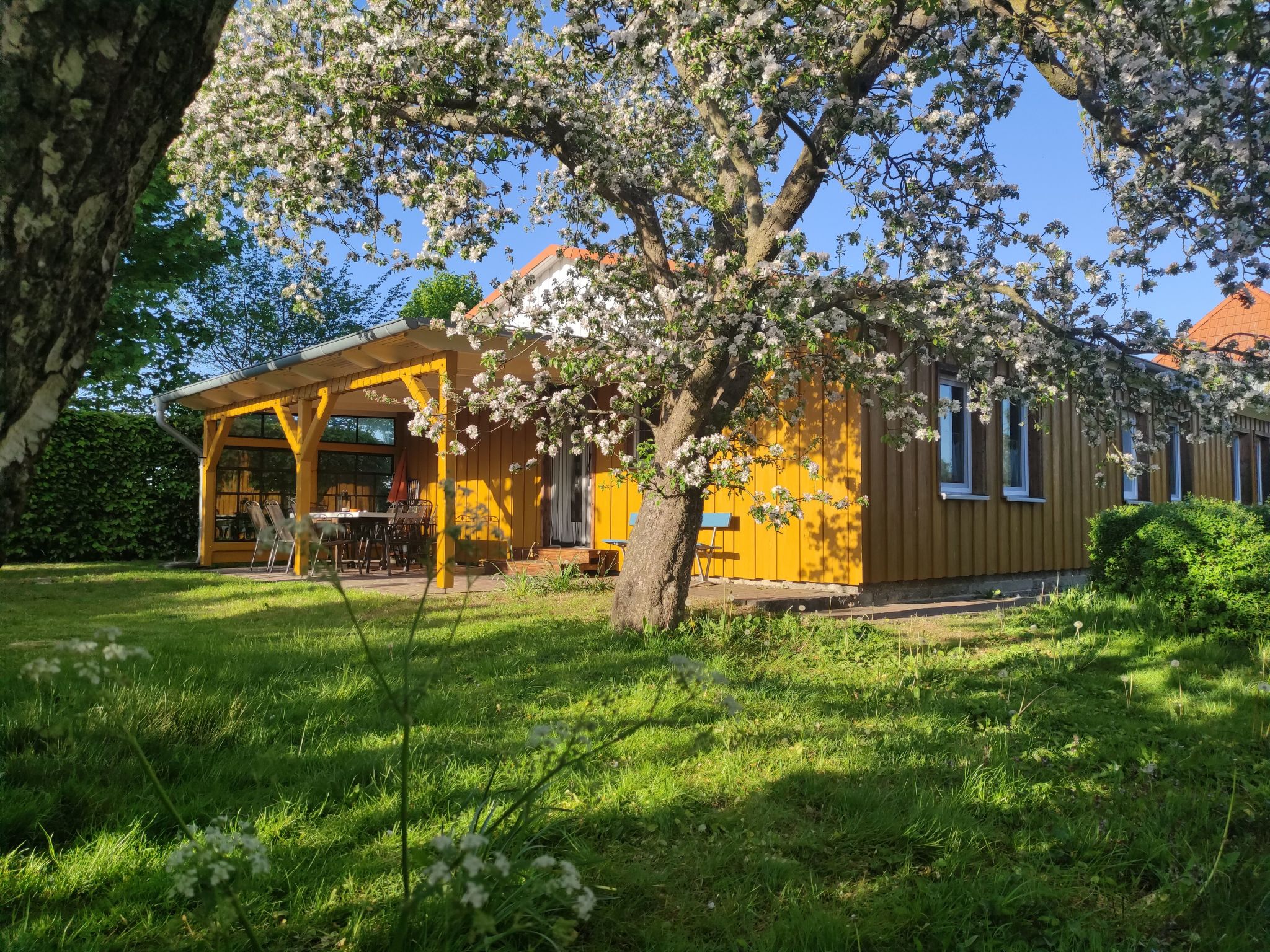 Janet Ratschkowski-Binnen