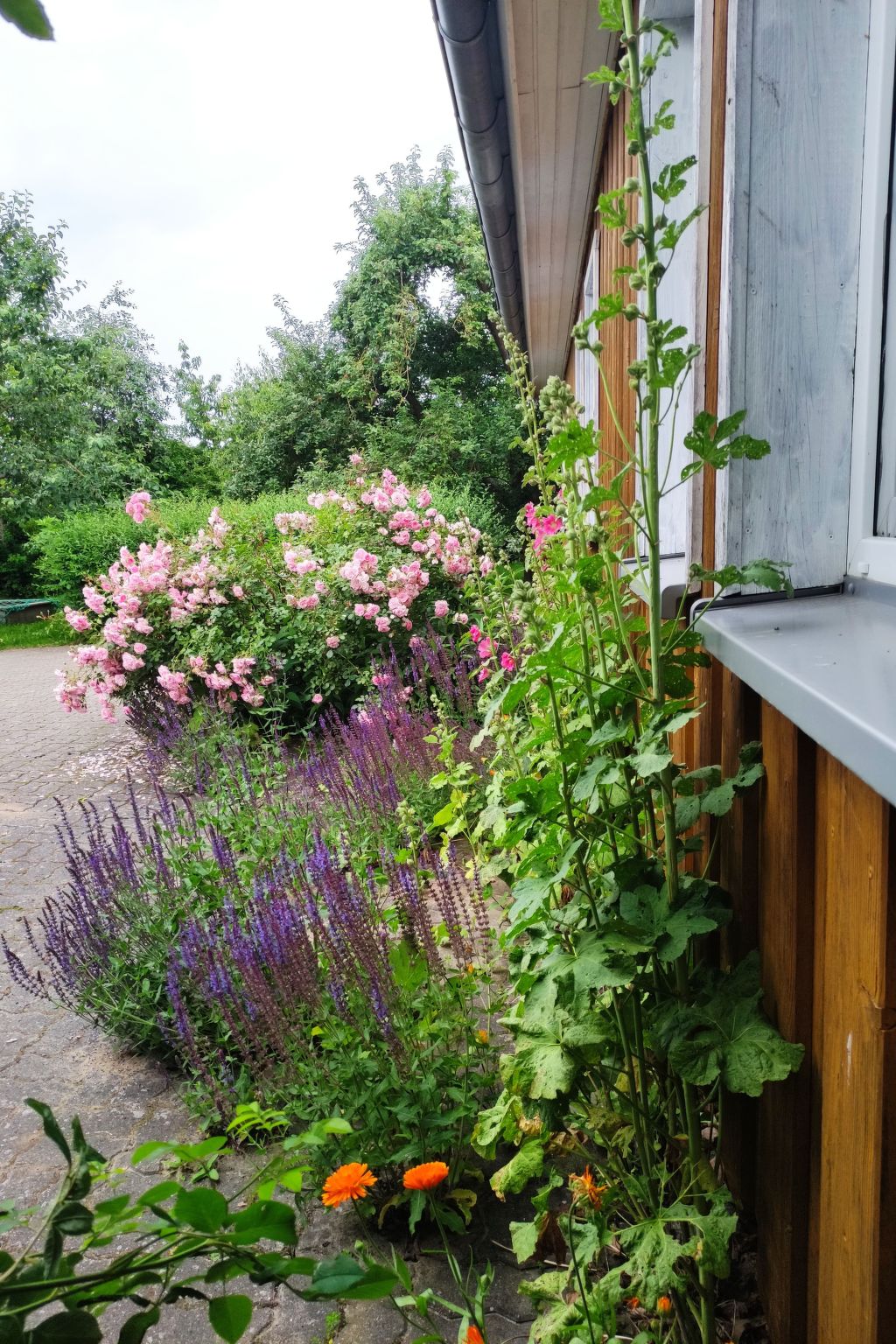 Janet Ratschkowski-Binnen