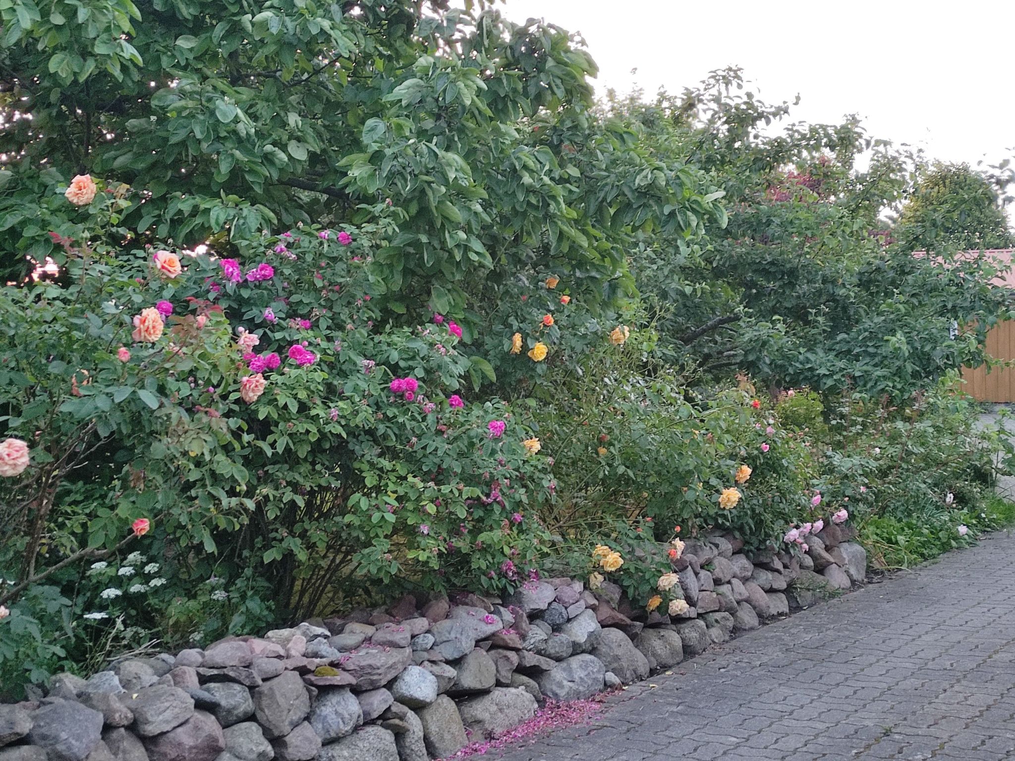 Janet Ratschkowski-Binnen