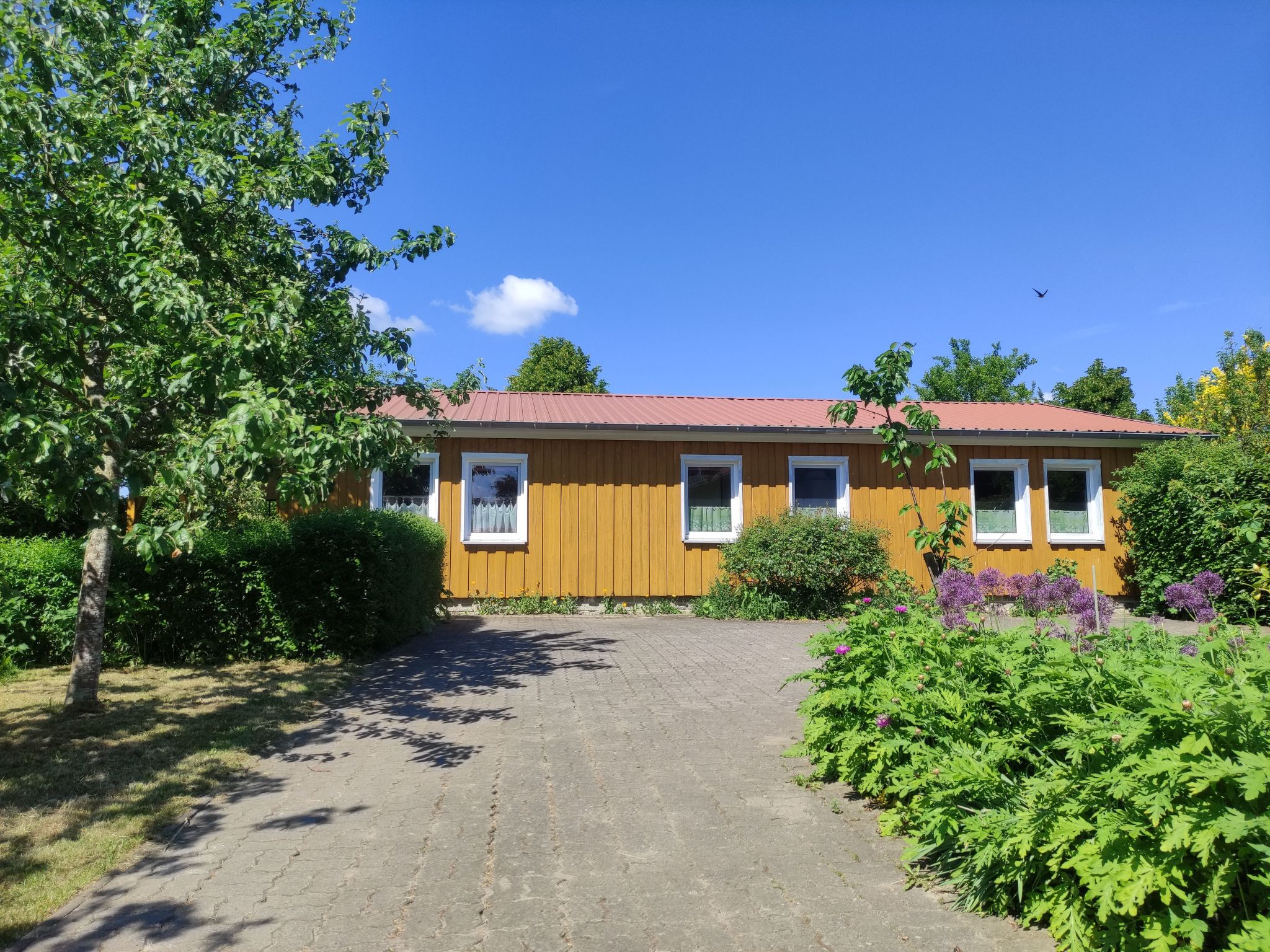 Janet Ratschkowski-Binnen