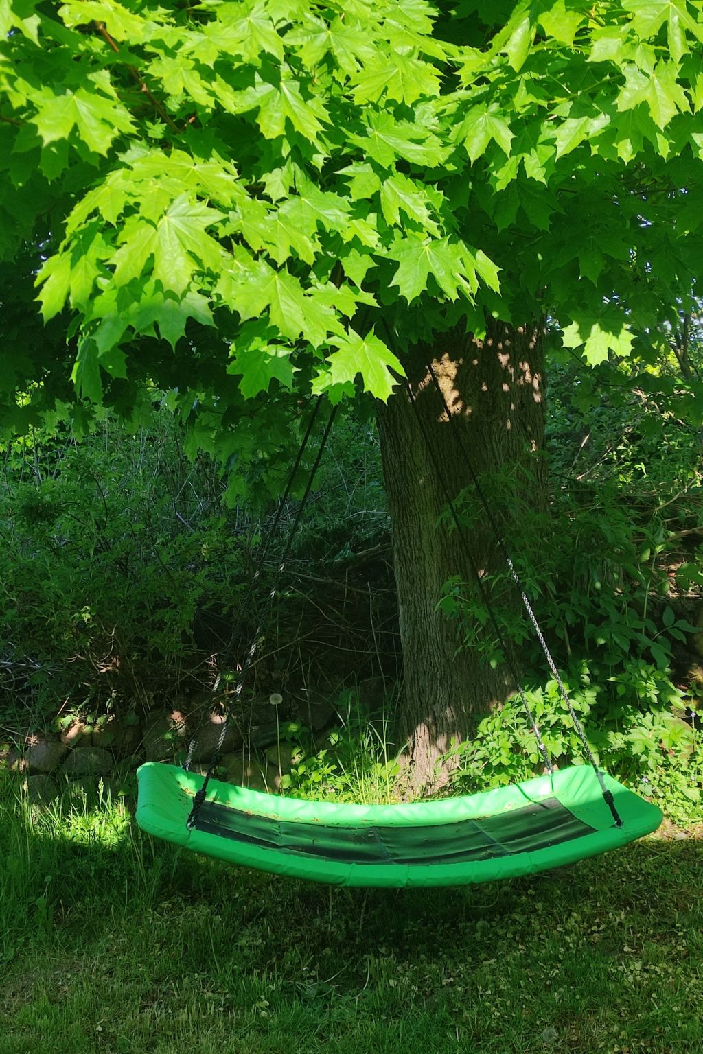 Janet Ratschkowski-Binnen