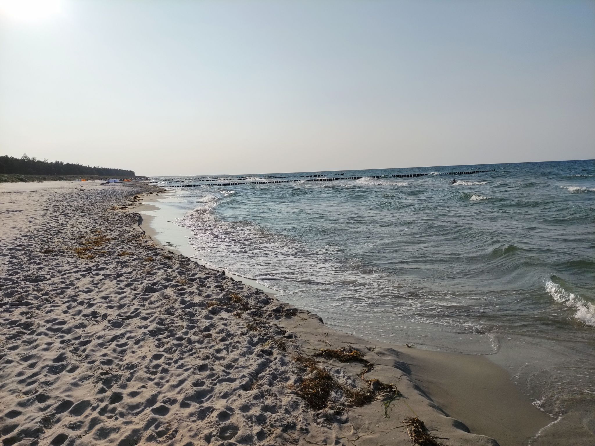 Janet Ratschkowski-Binnen