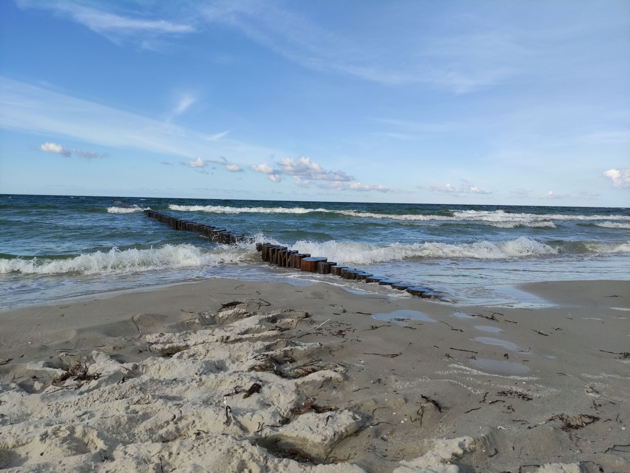 Janet Ratschkowski-Binnen