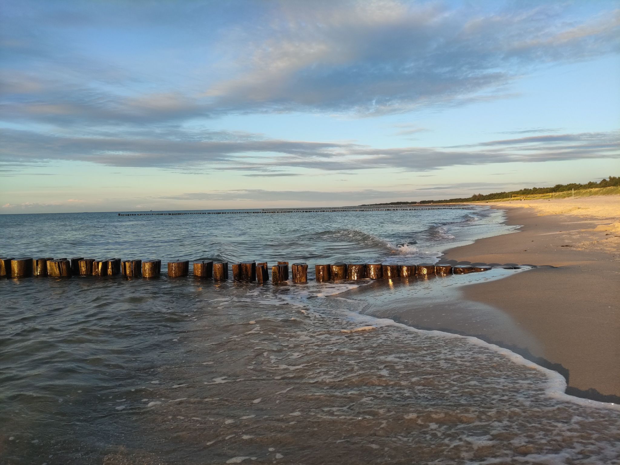Janet Ratschkowski-Binnen