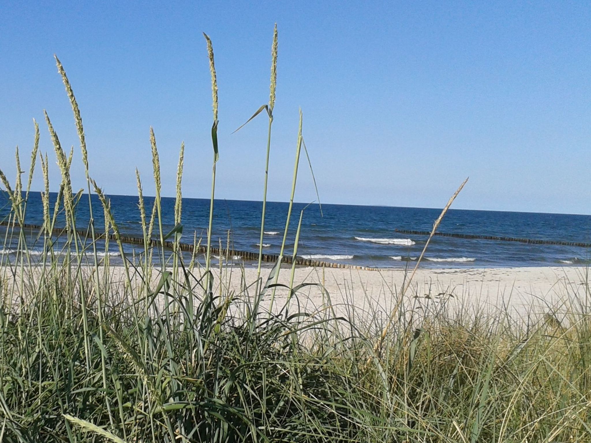 Janet Ratschkowski-Binnen