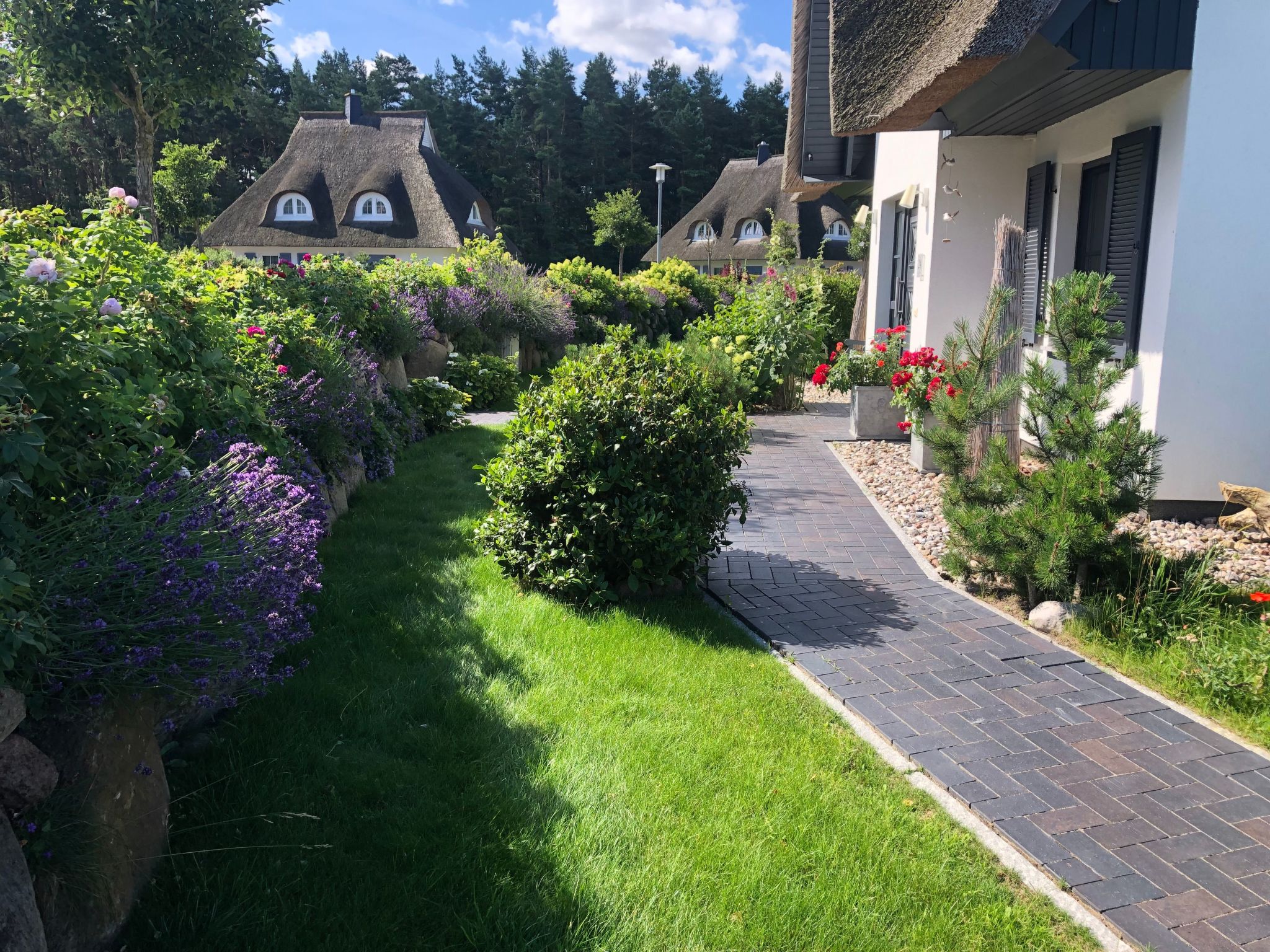 Seeschwalbe Helga-Image-tags.info