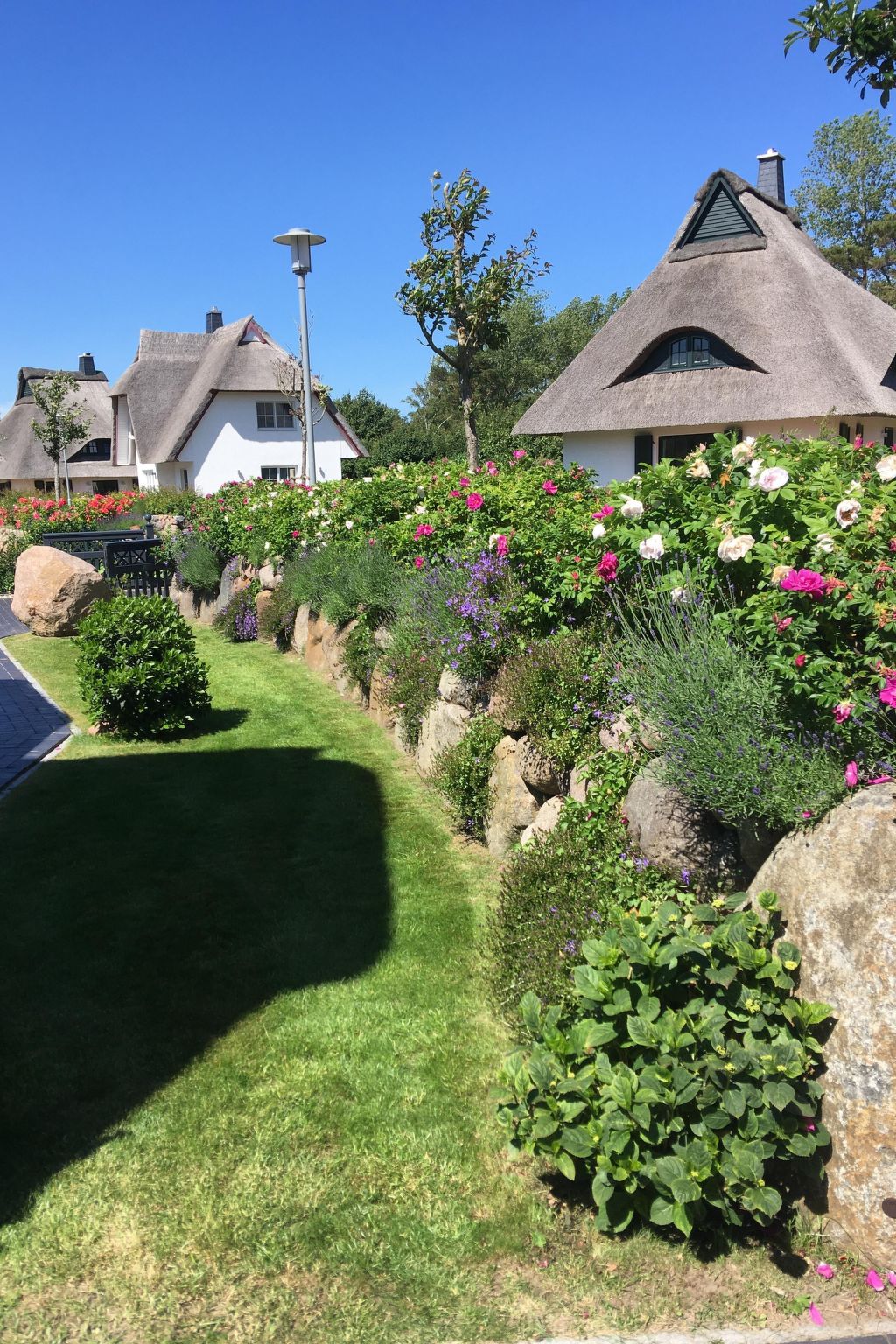 Seeschwalbe Helga-Image-tags.info