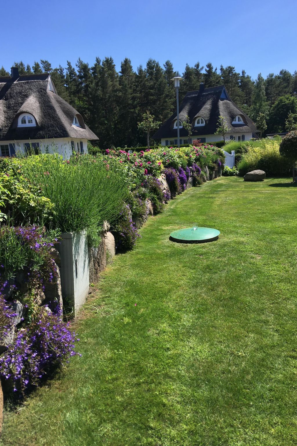 Seeschwalbe Helga-Image-tags.info