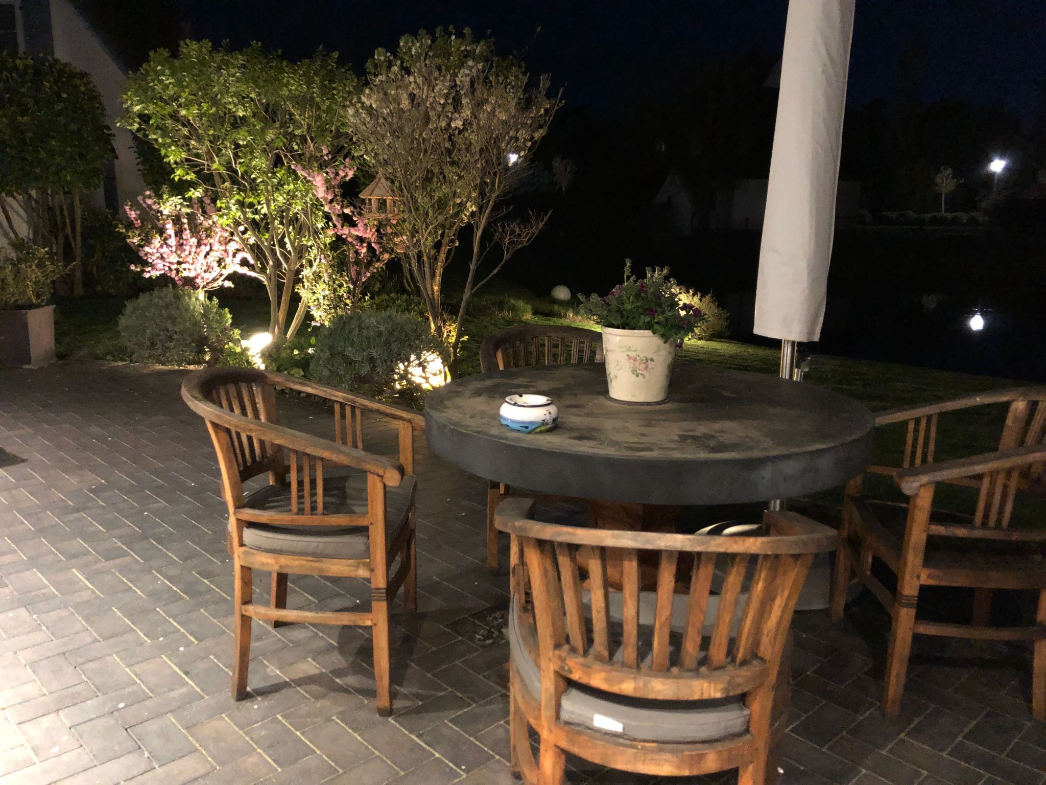 Seeschwalbe Helga-Image-tags.info