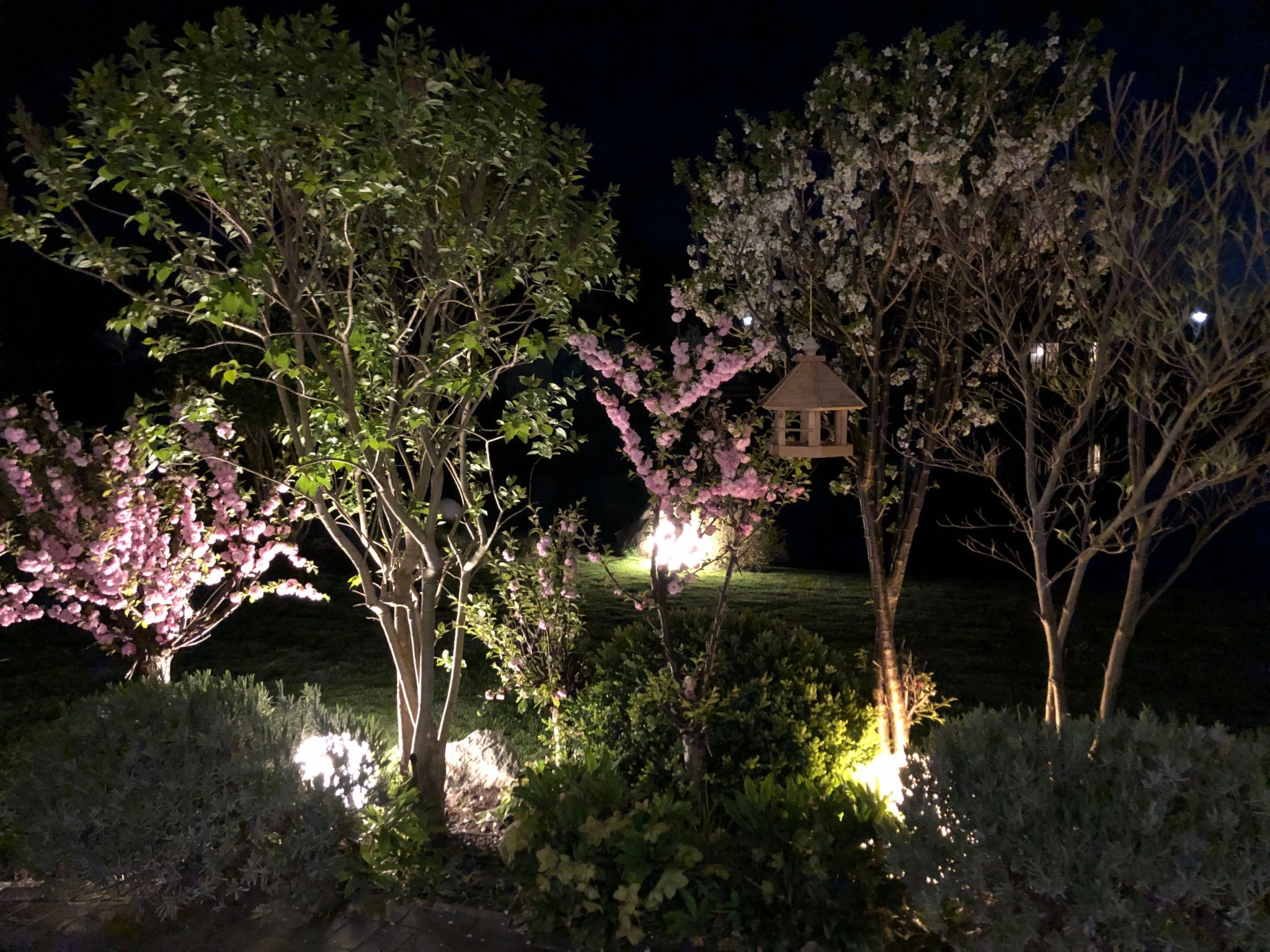 Seeschwalbe Helga-Image-tags.info