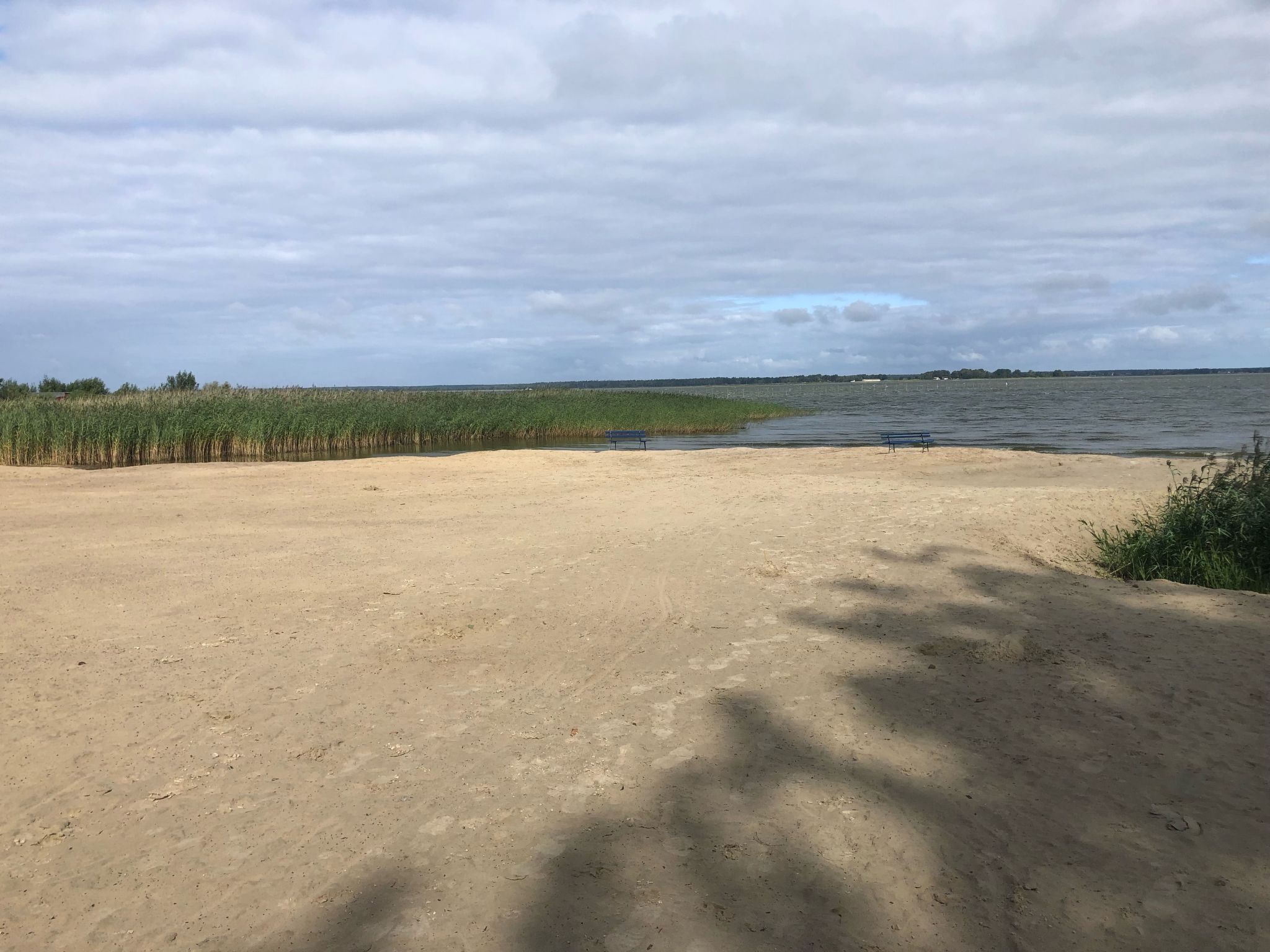 Seeschwalbe Helga-Image-tags.info