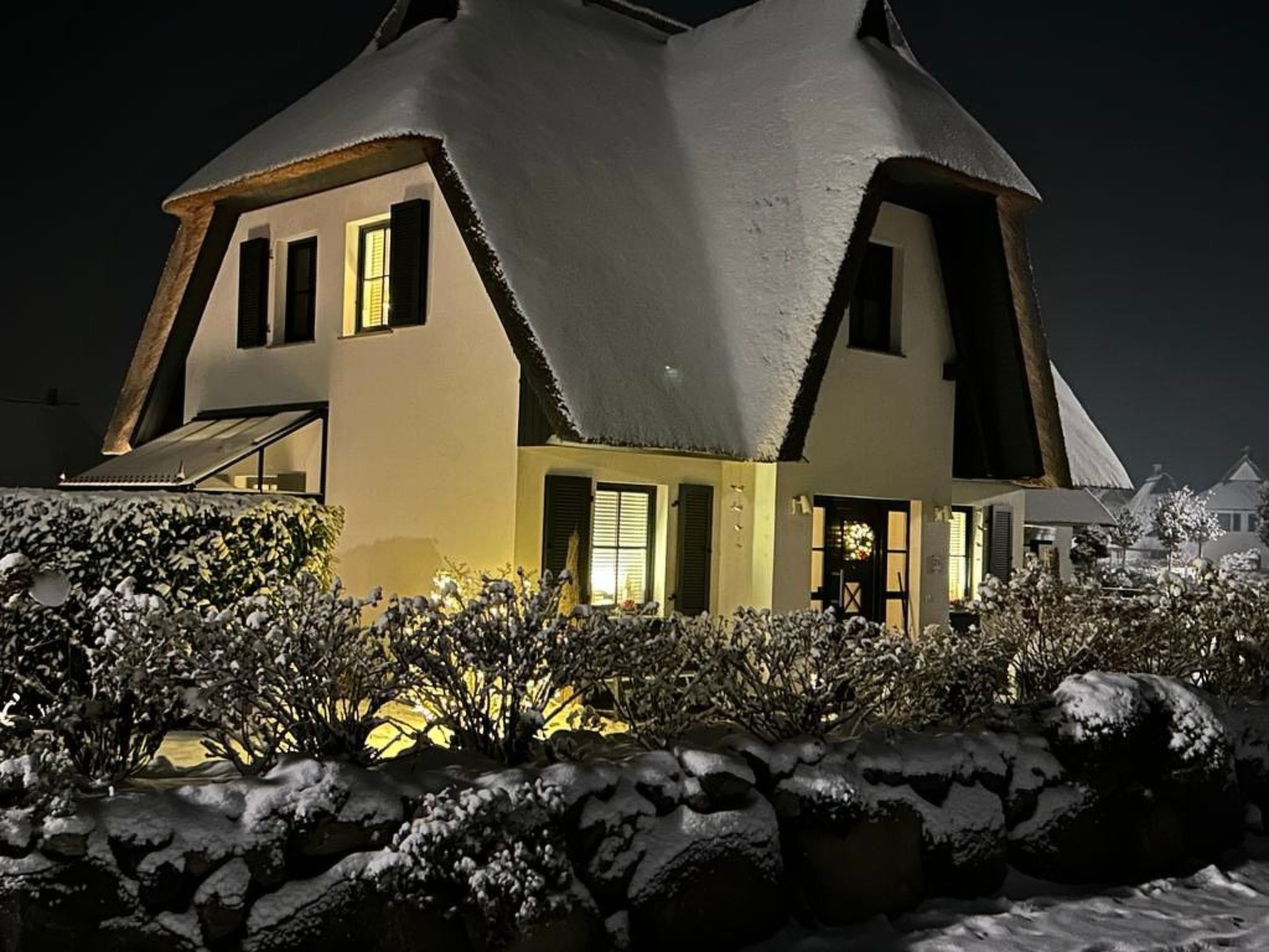 Seeschwalbe Helga-Image-tags.info