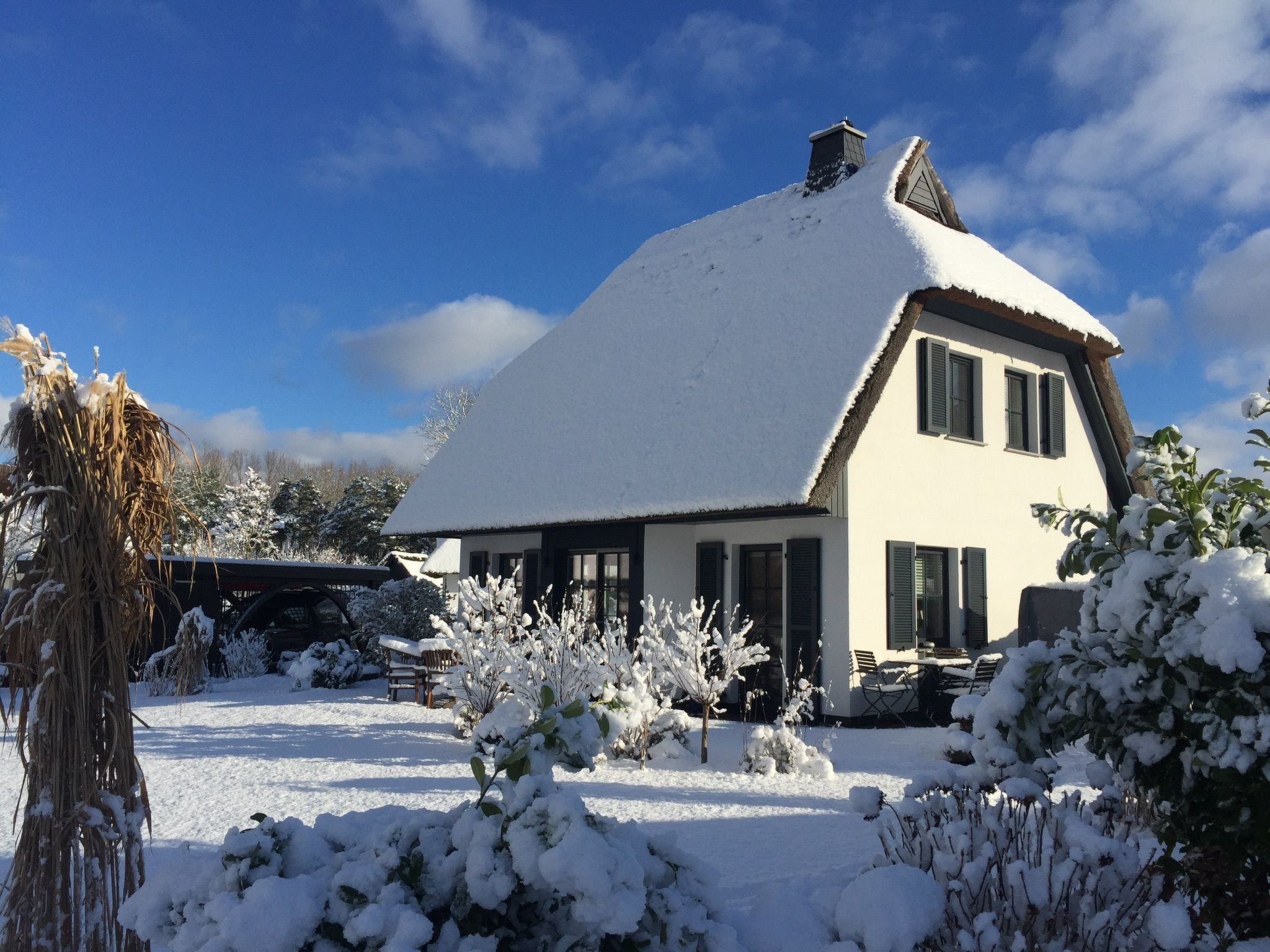 Seeschwalbe Helga-Image-tags.info