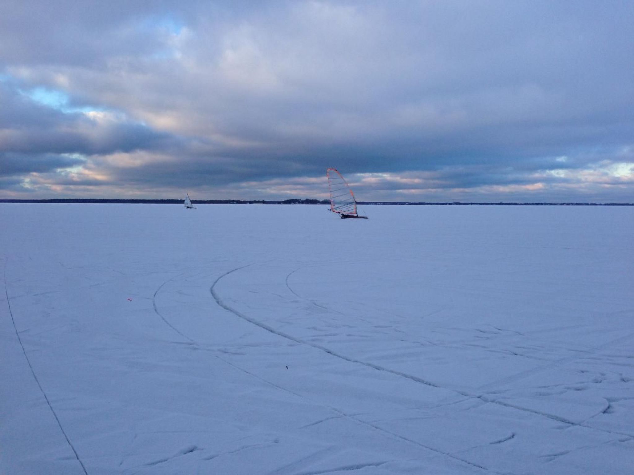 Seeschwalbe Helga-Image-tags.info